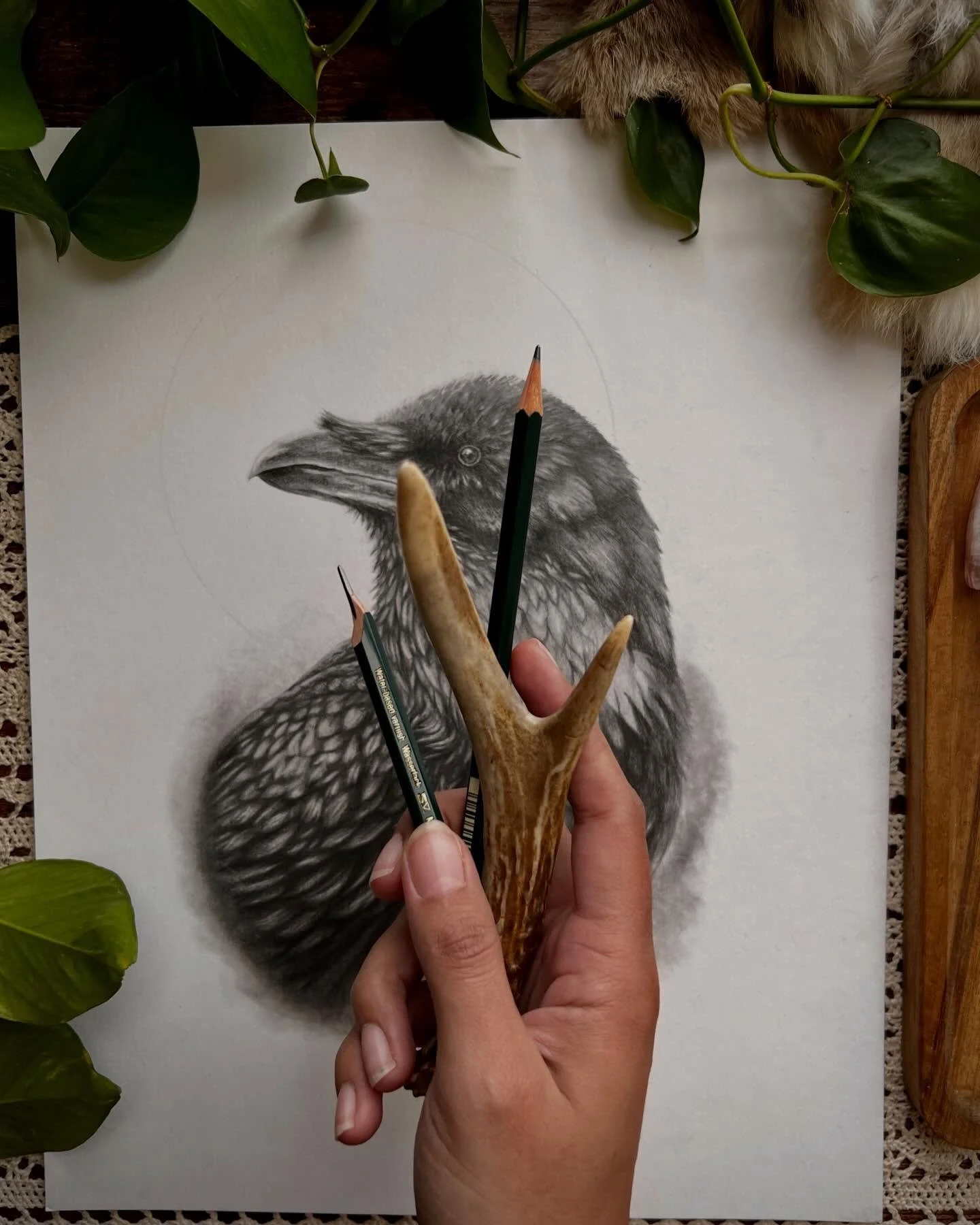 Graphite, patience, and a deep love for traditional mediums. 

This raven, will soon be joining The Sentinel as part of my limited edition series.