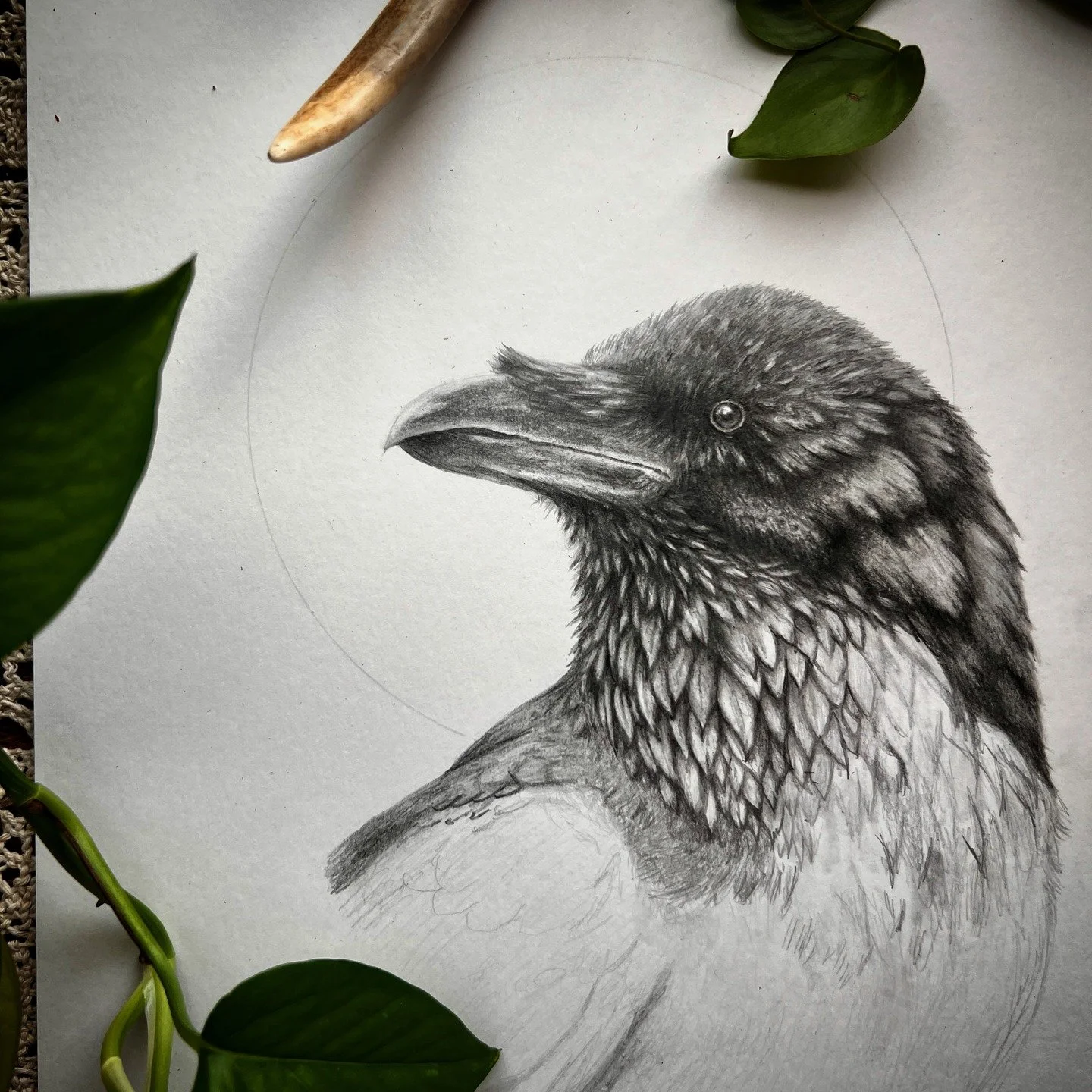 Today it&rsquo;s just me, the studio hush, and this raven taking shape under my hands.