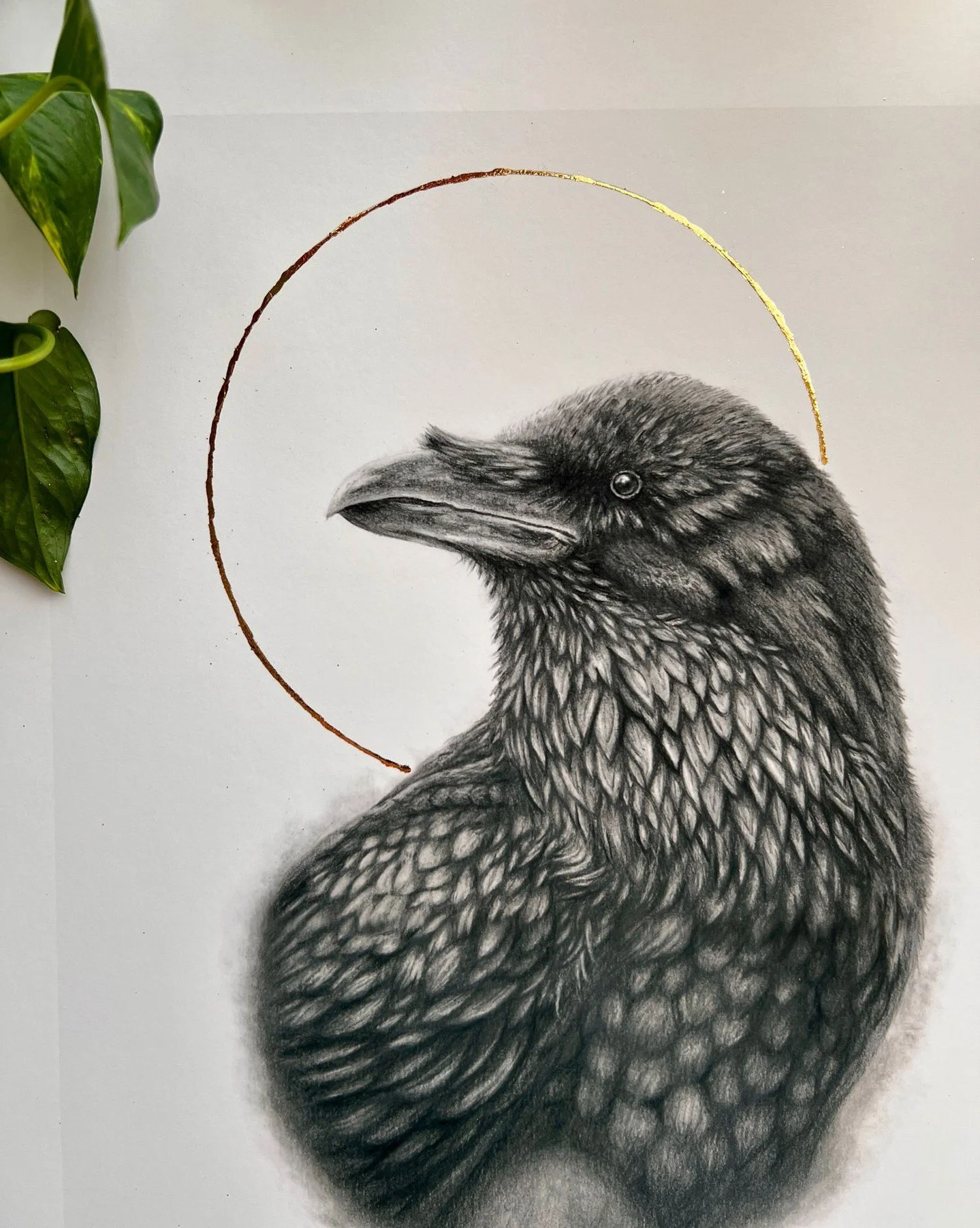 Ravens have always felt like quiet witnesses to the world.

They watch, they remember, they move through life noticing things most of us miss.

This piece is titled &ldquo;The Witness.&rdquo;
A limited edition print of this drawing is now available t