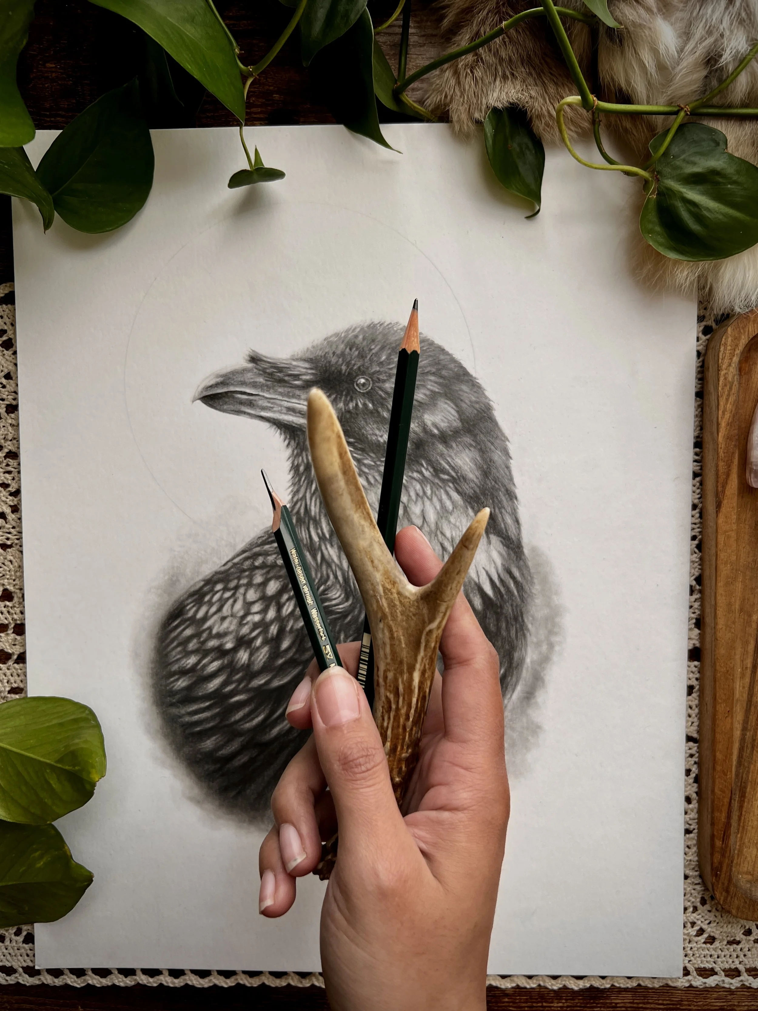 A hand holding an antler and two colored pencils in front of a detailed pencil drawing of a bird, with green leaves and a furry material in the background.