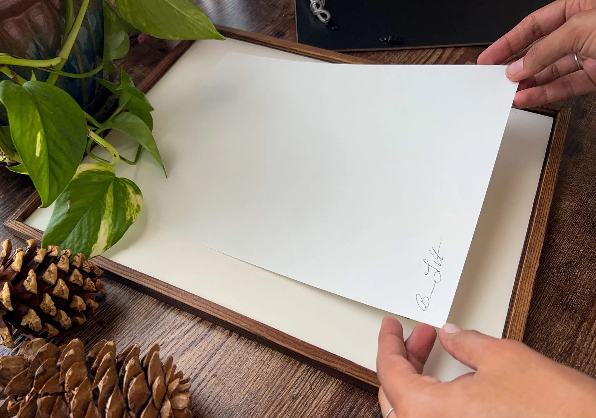 Art Print Care: A Quiet Guide for Longevity