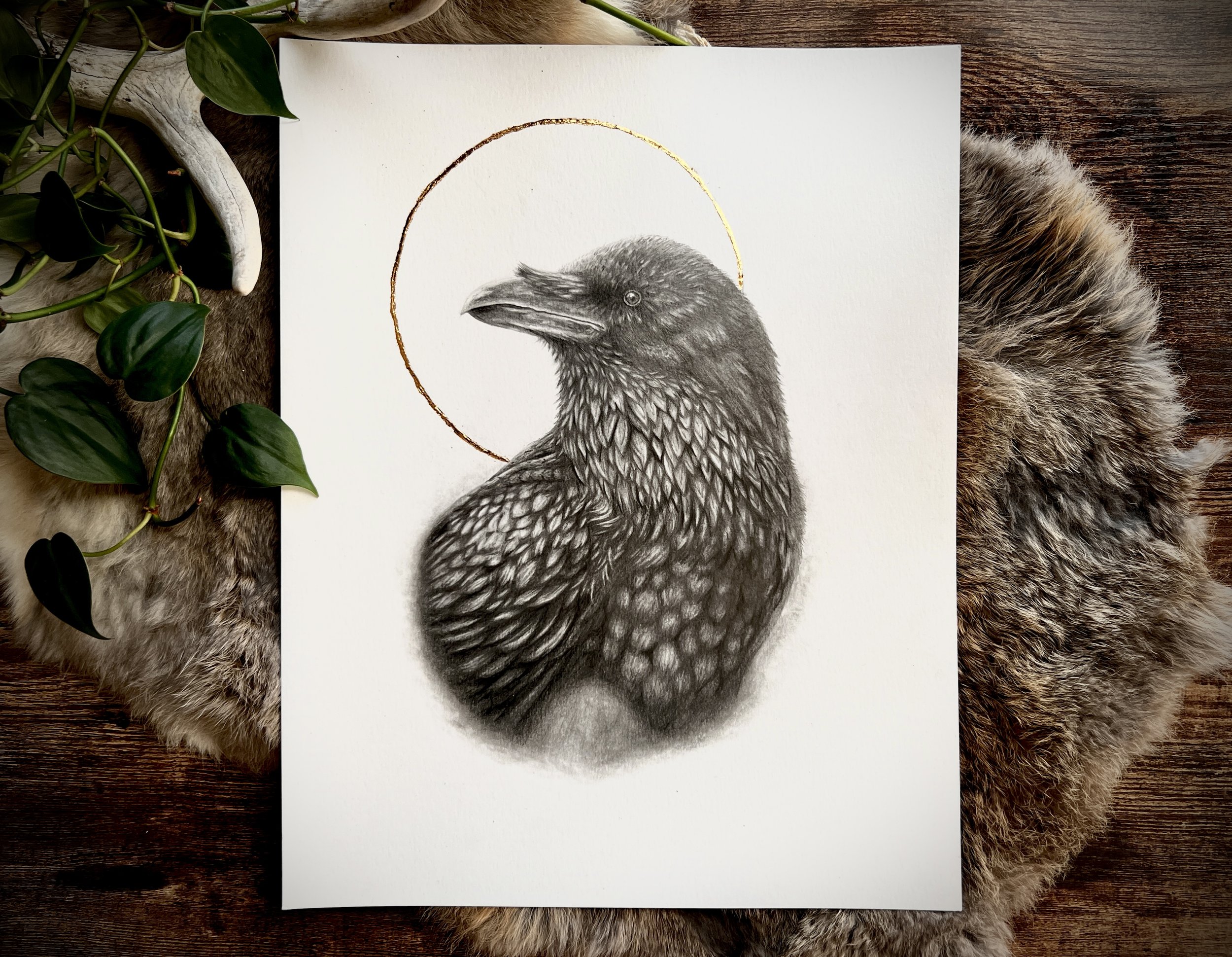 Raven drawn in graphite pencil, embelleshed with 24k gold leaf inspired by nature - Brianna LaVarta