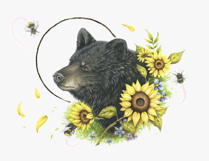 Colorado black bear surrounded by prple blooms, sunflowers and bumble bees.
