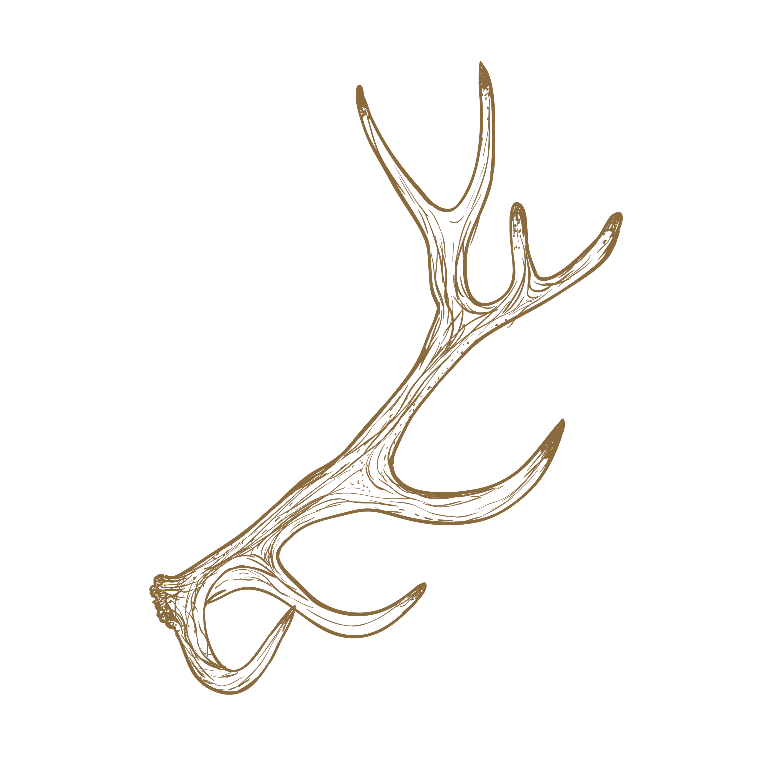 Stylized illustration of a brown deer antler on a black background.
