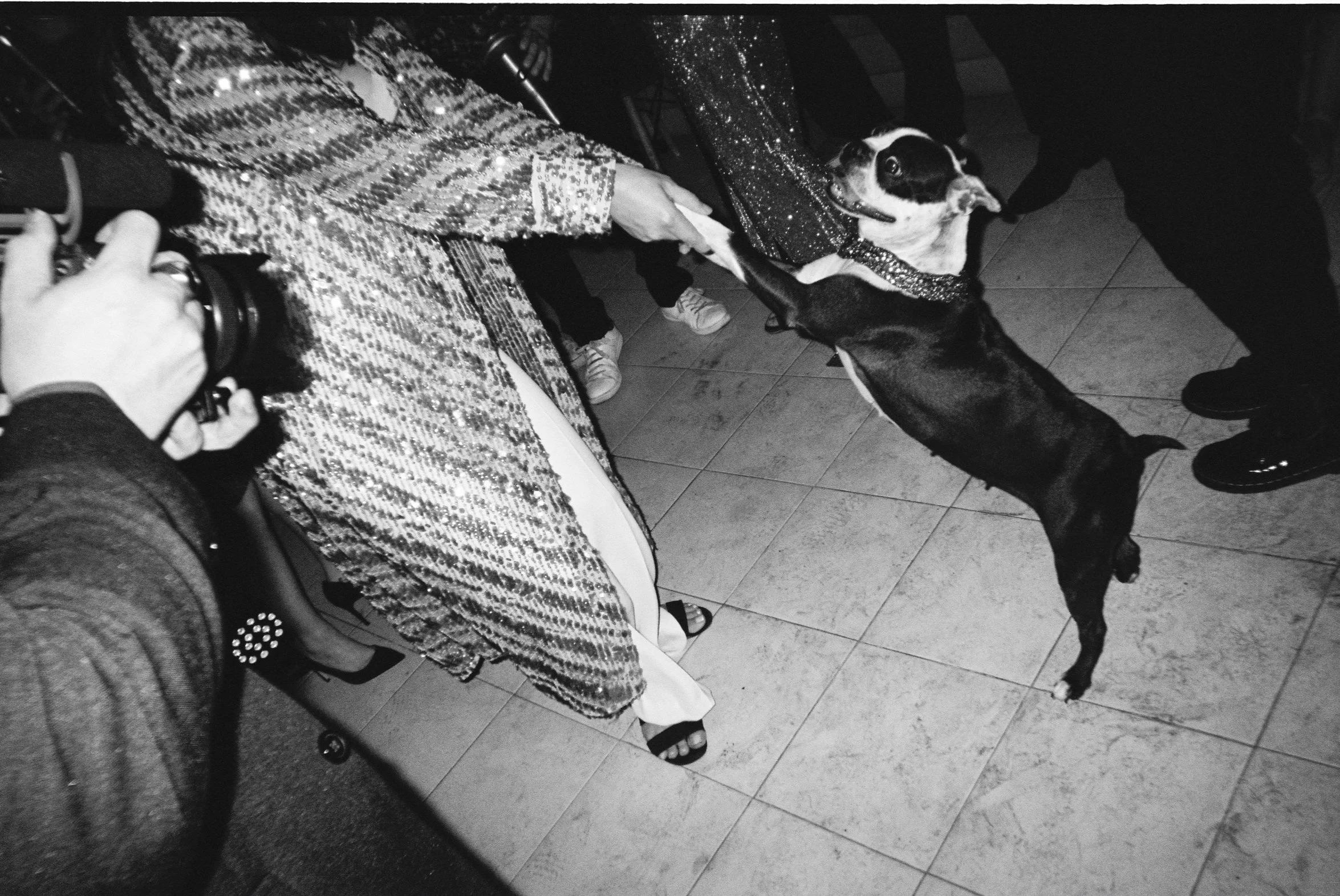 wedding film photography