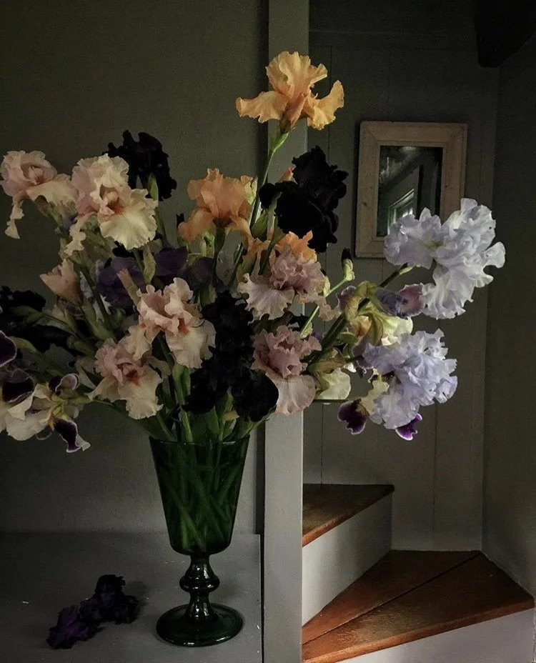 A bouquet of multicolored irises in a glass vase on a table in a room.