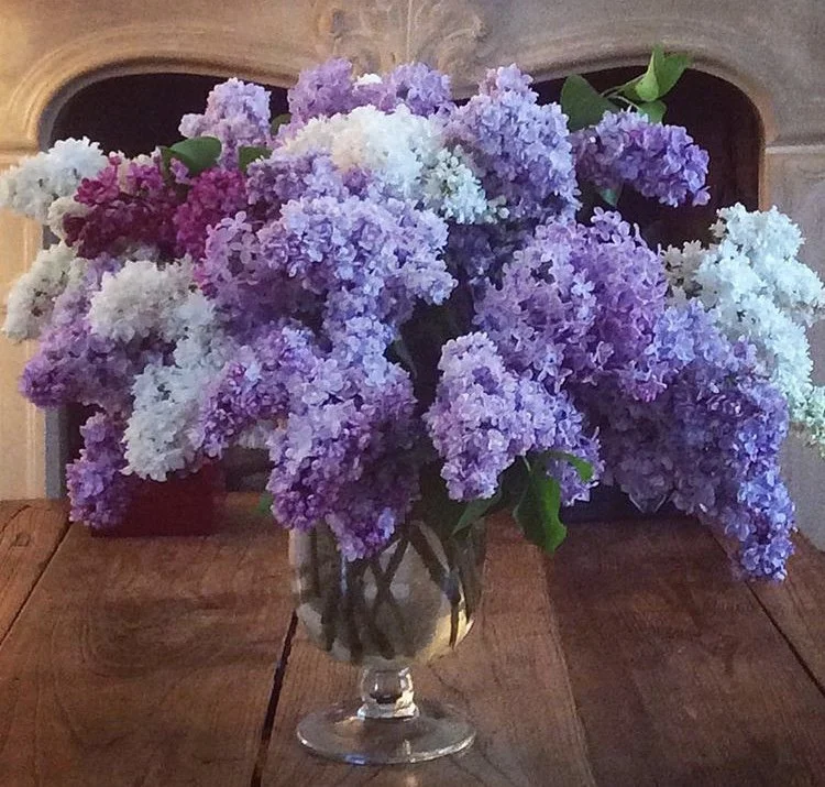 A glass vase filled with purple, white, and light purple lilac flowers on a wooden table.