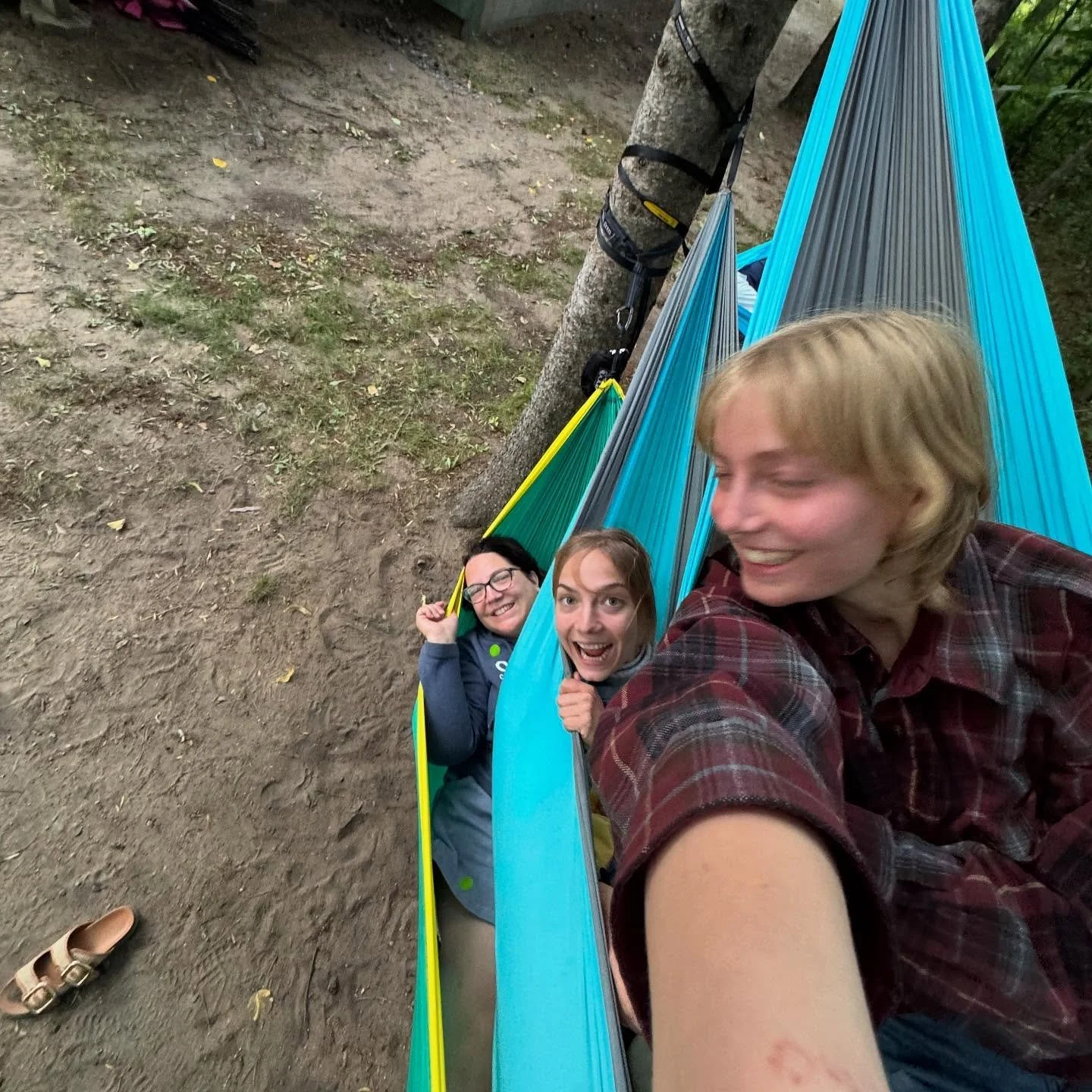 Are you coming to the kleven tree