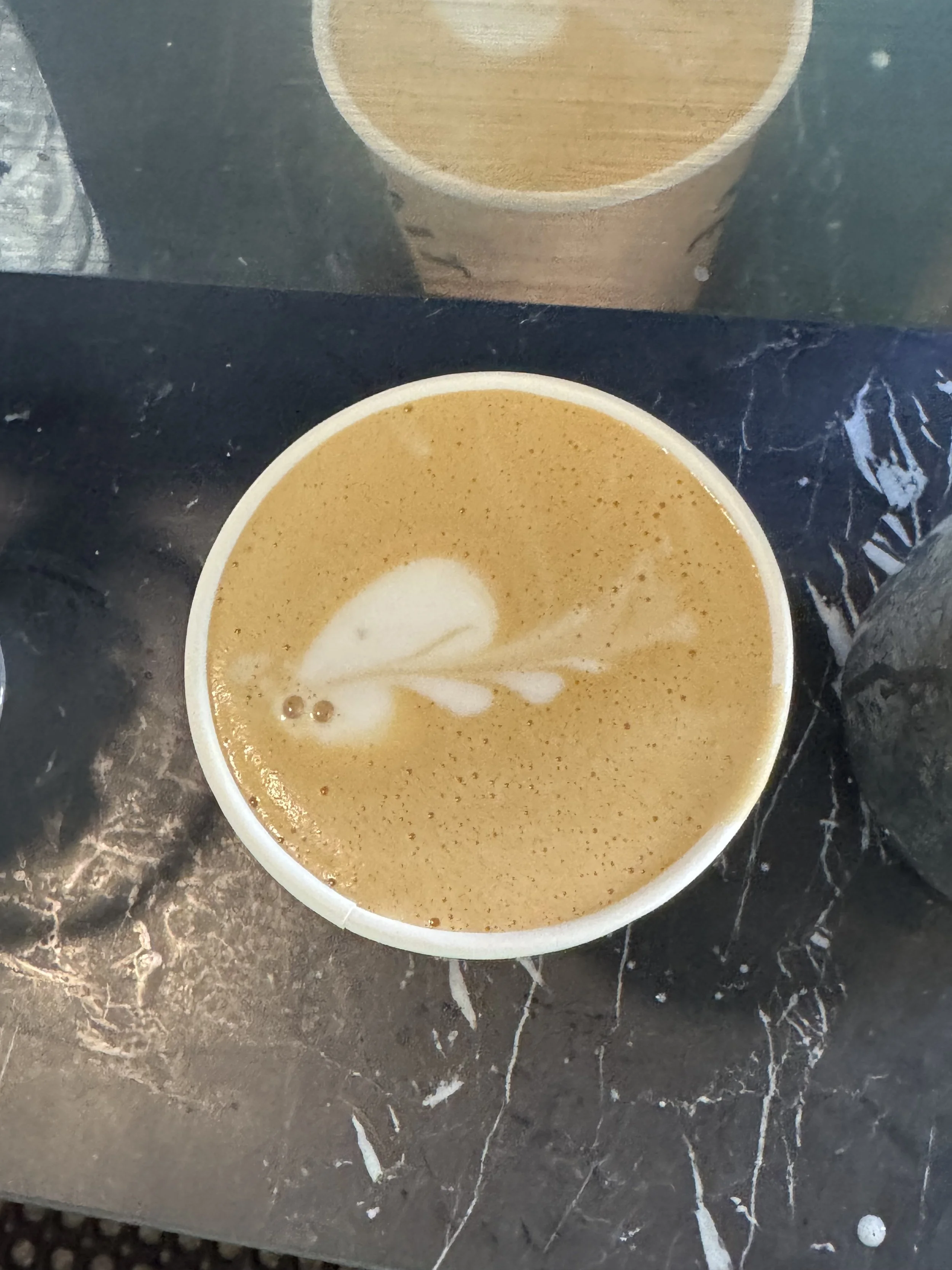 Squirrel with no tail on a tree branch (latte to-go)