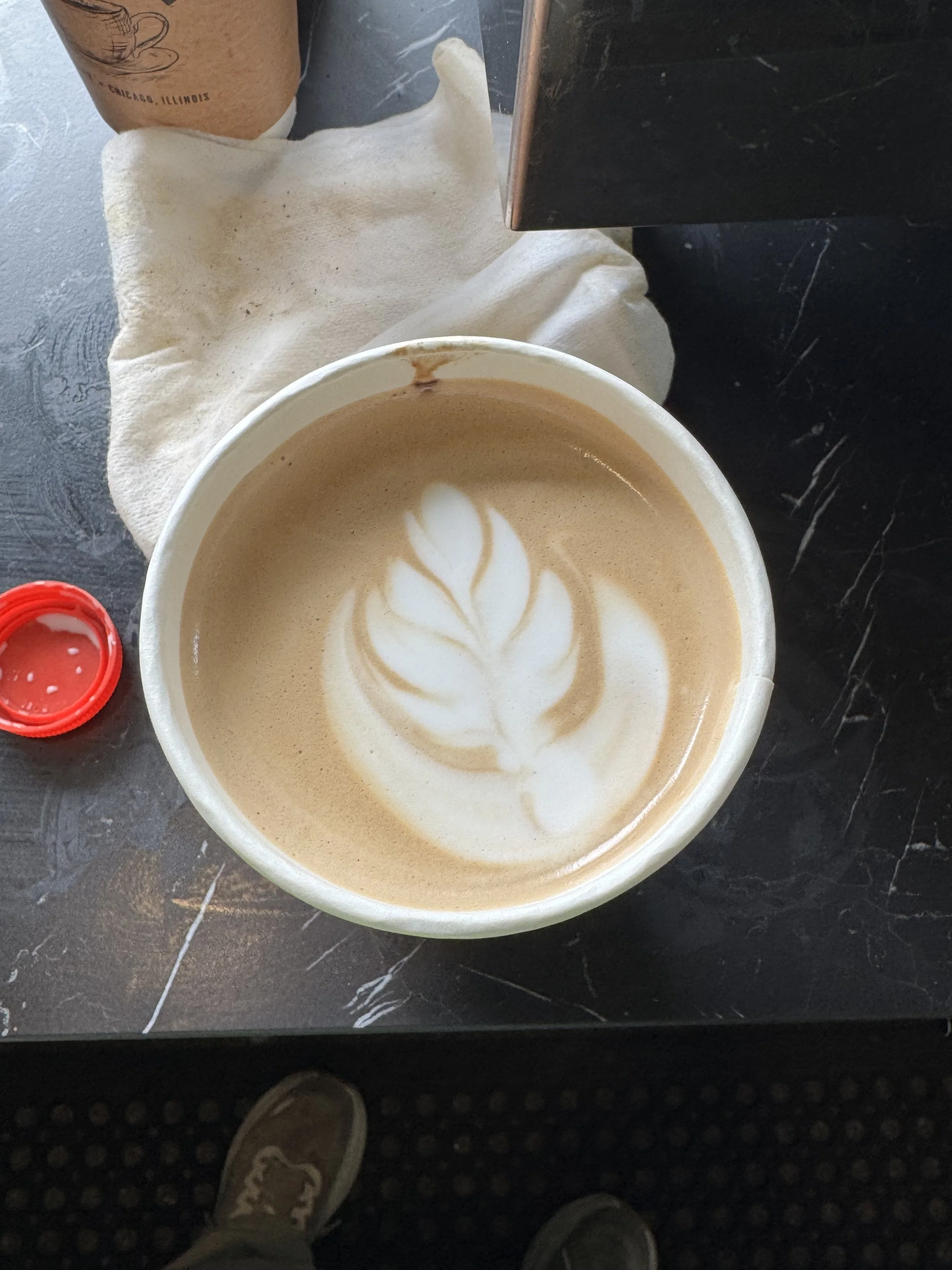 Tulip in bloom (mocha to-go)