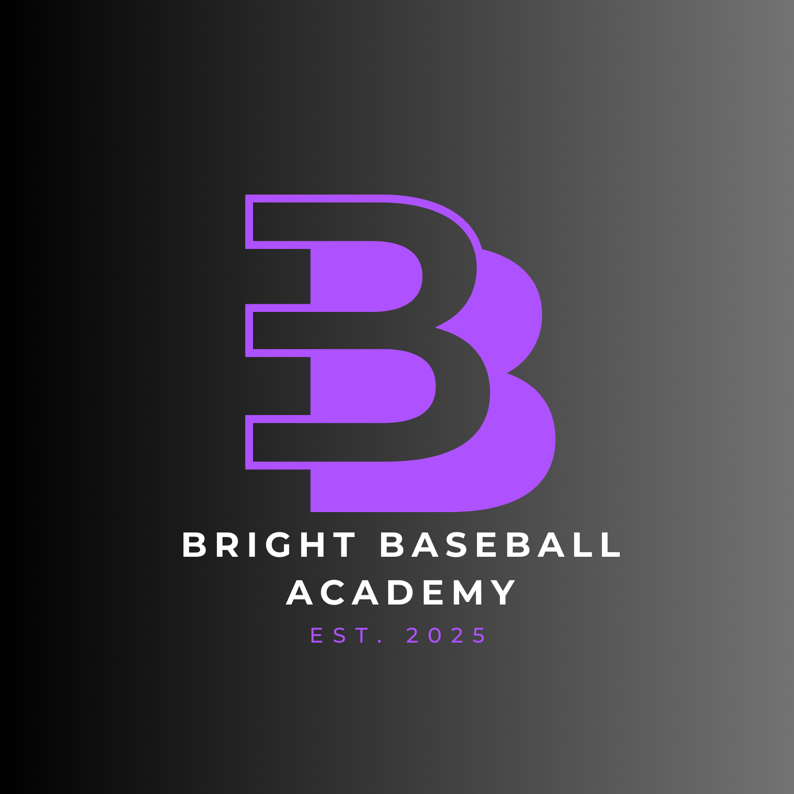 Buy Memberships — Bright Baseball Academy