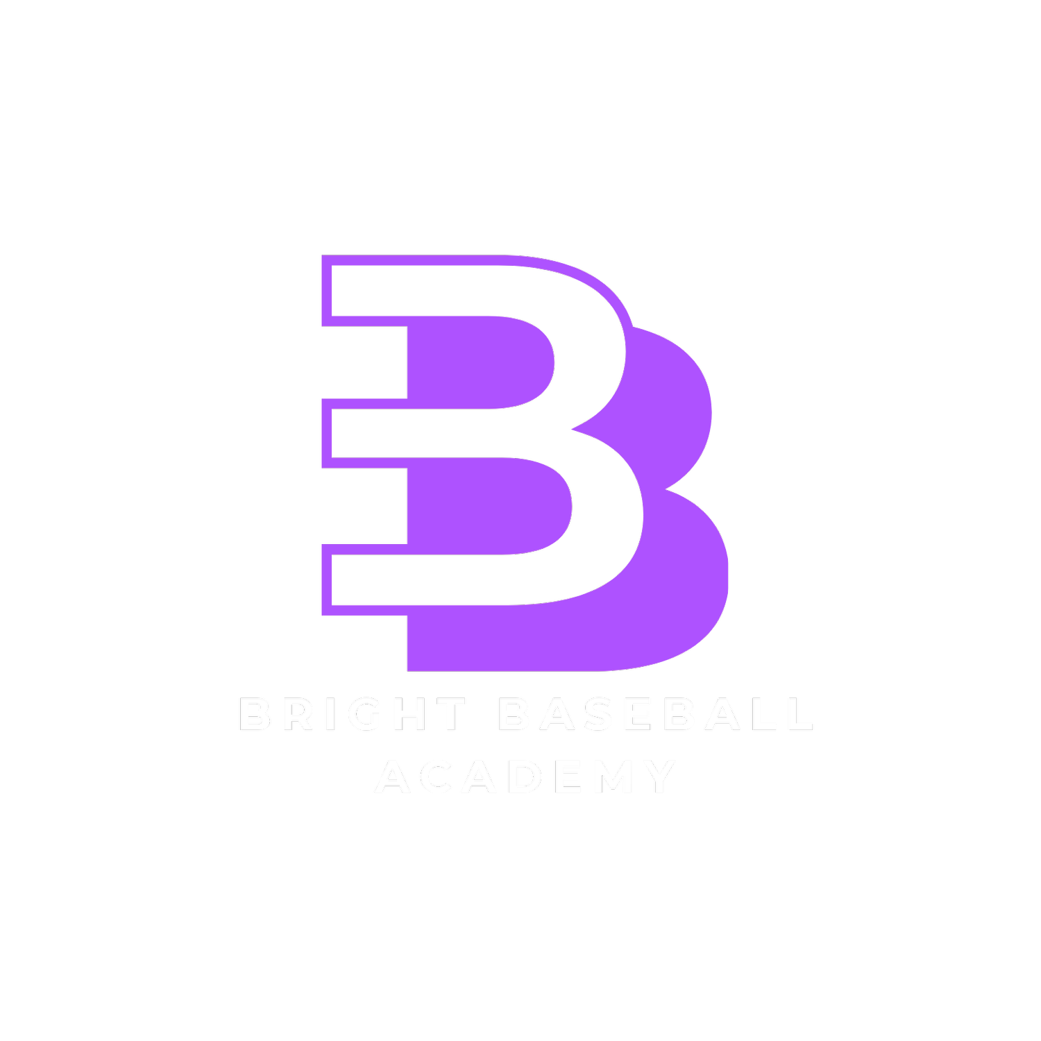 BRIGHT BASEBALL ACADEMY