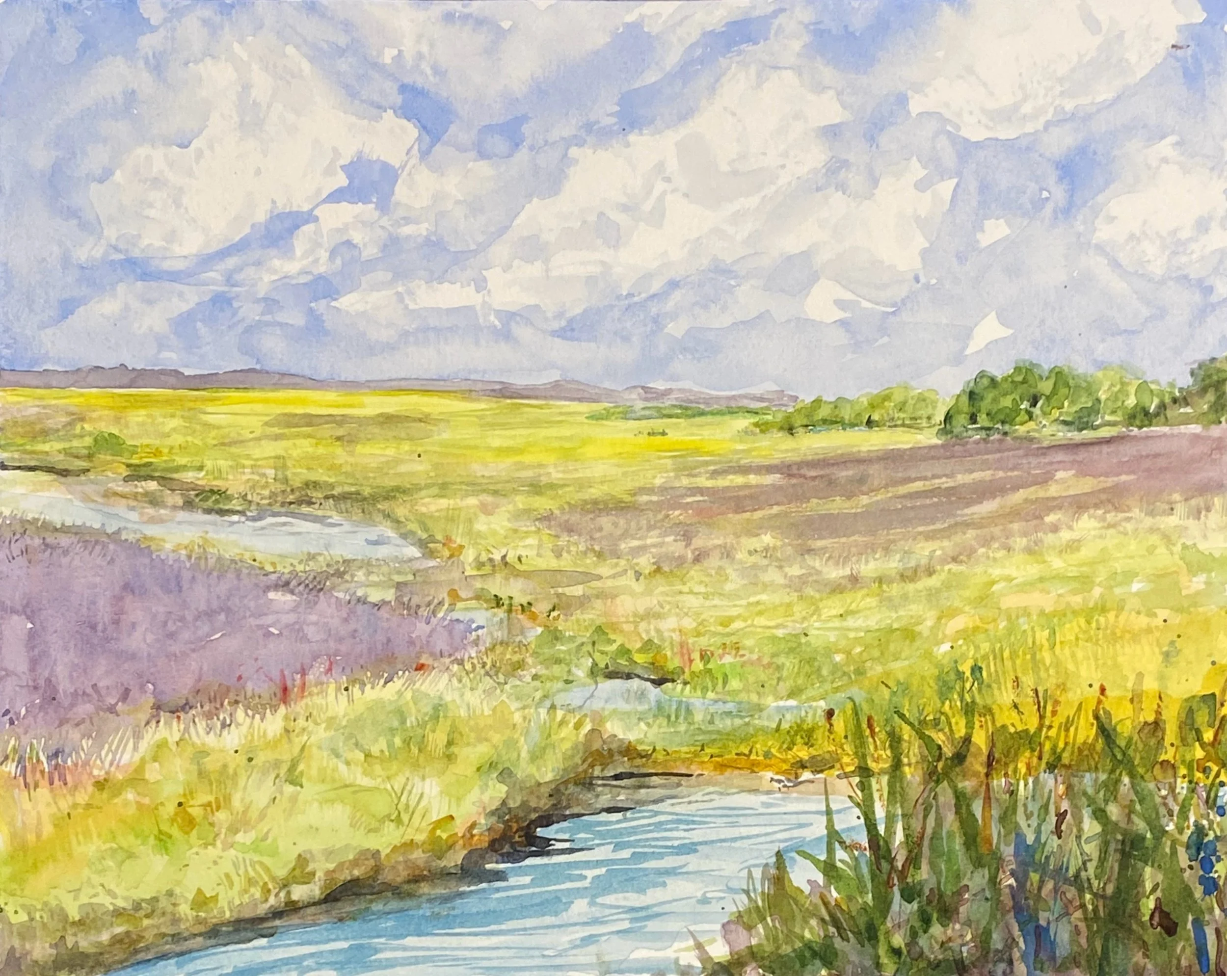 Marsh Clouds JPG.JPG