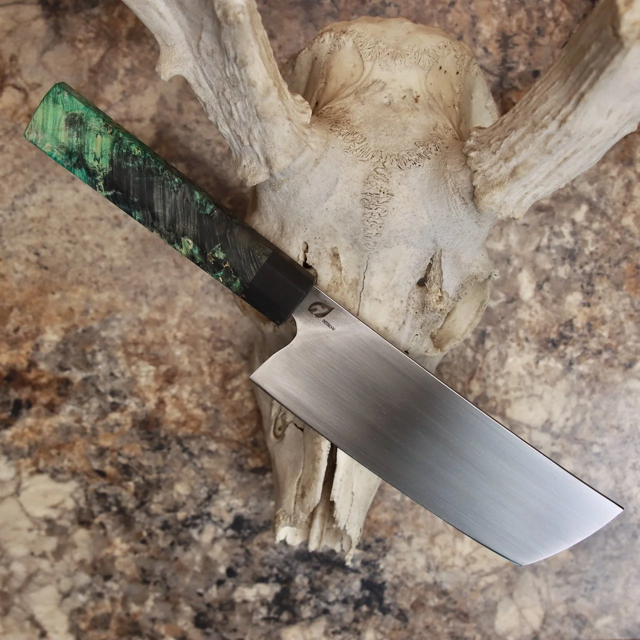 A close-up of a deer skull with antlers on a granite countertop, with a chef's knife with a green marbled handle resting against it.