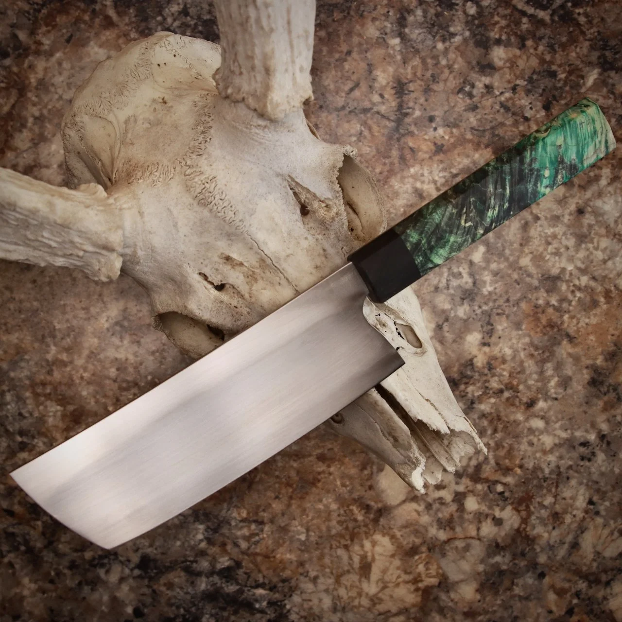 A skull of an animal, possibly a cow or similar, on a brown speckled countertop with a large kitchen knife with a green and black handle resting across it.