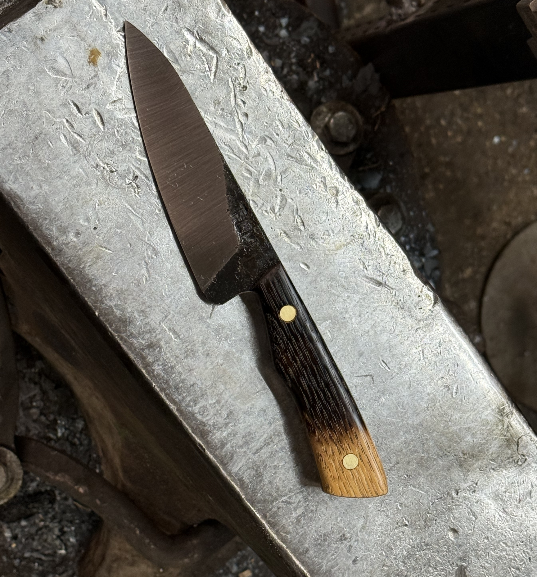 Screenshot 2026-03-20 at 4.45.37 pm.png