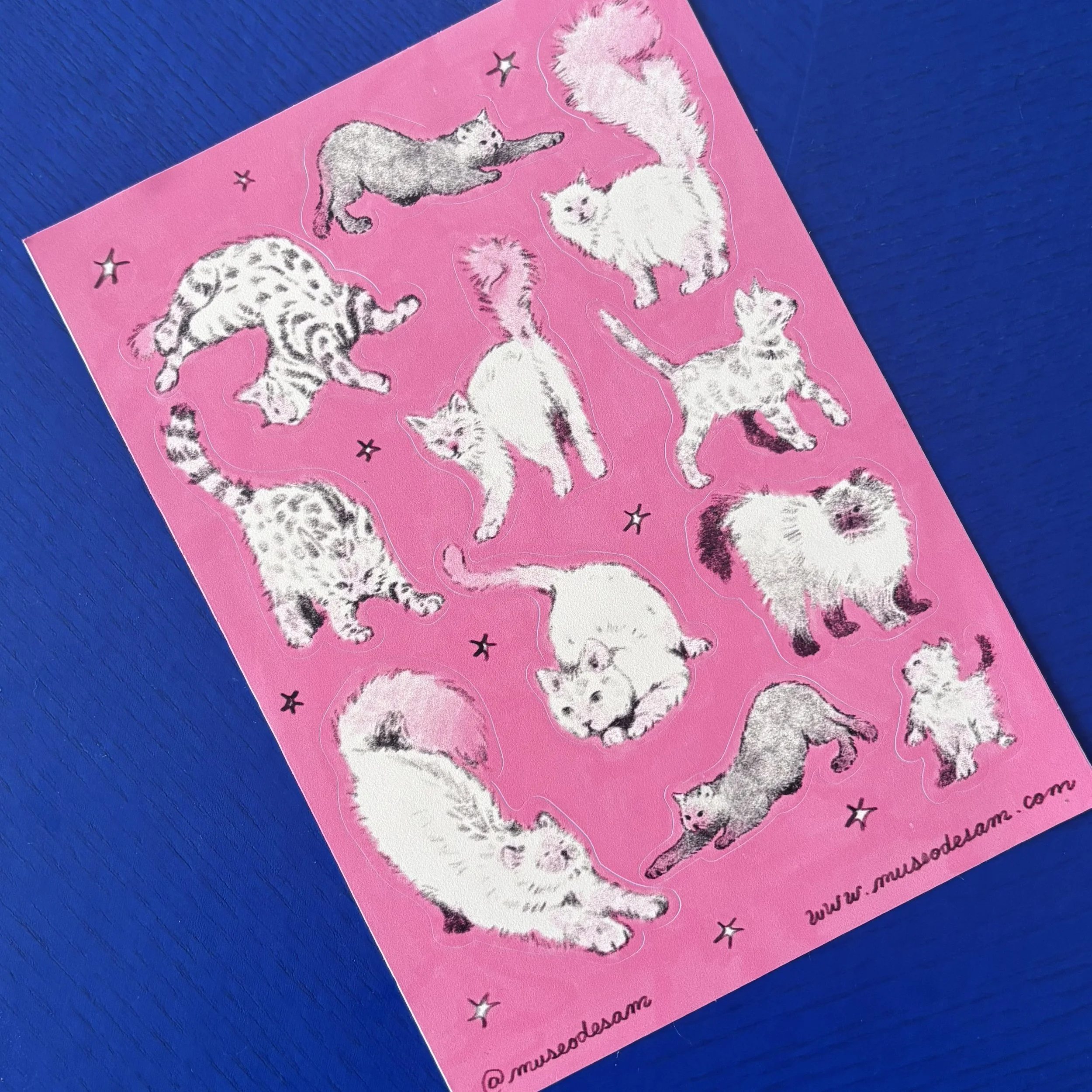 Planilla XL: gatos