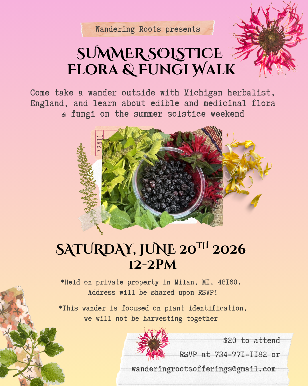 Summer Solstice Flora &amp; Fungi - Plant Walk