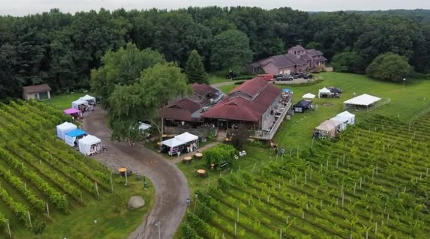 Renaissance Faire at Sandhill Crane Vineyards