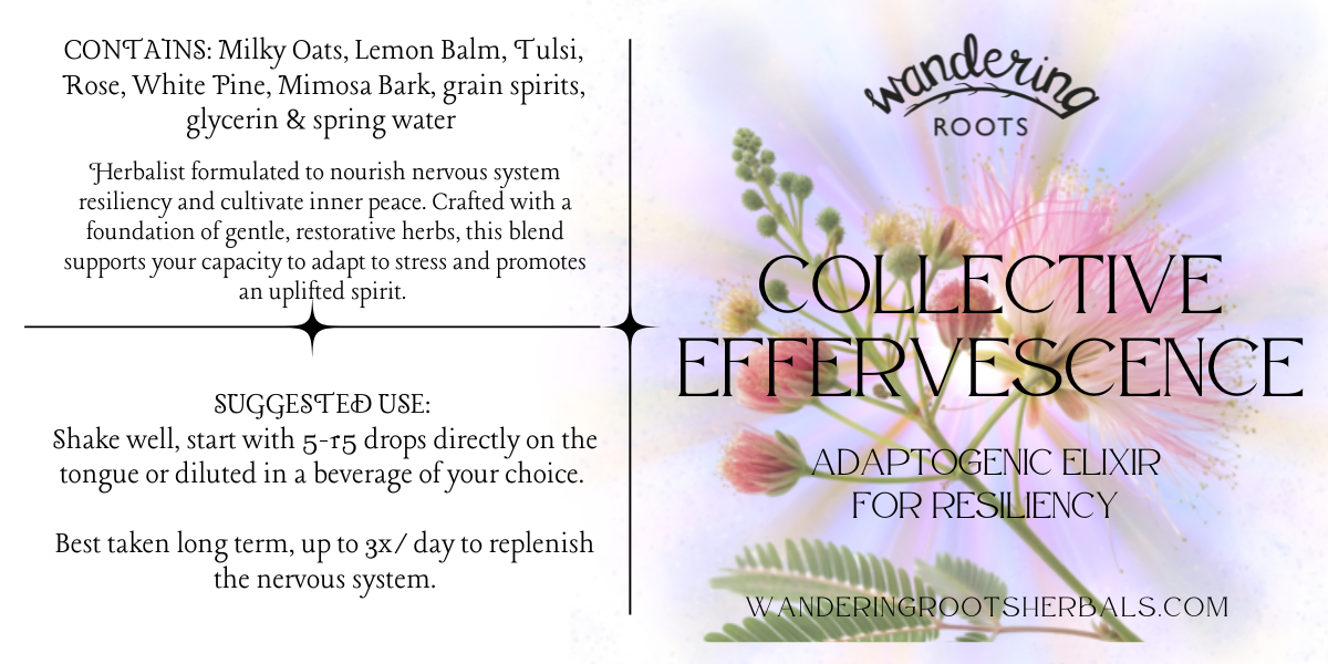 4x2in tincture labels.png