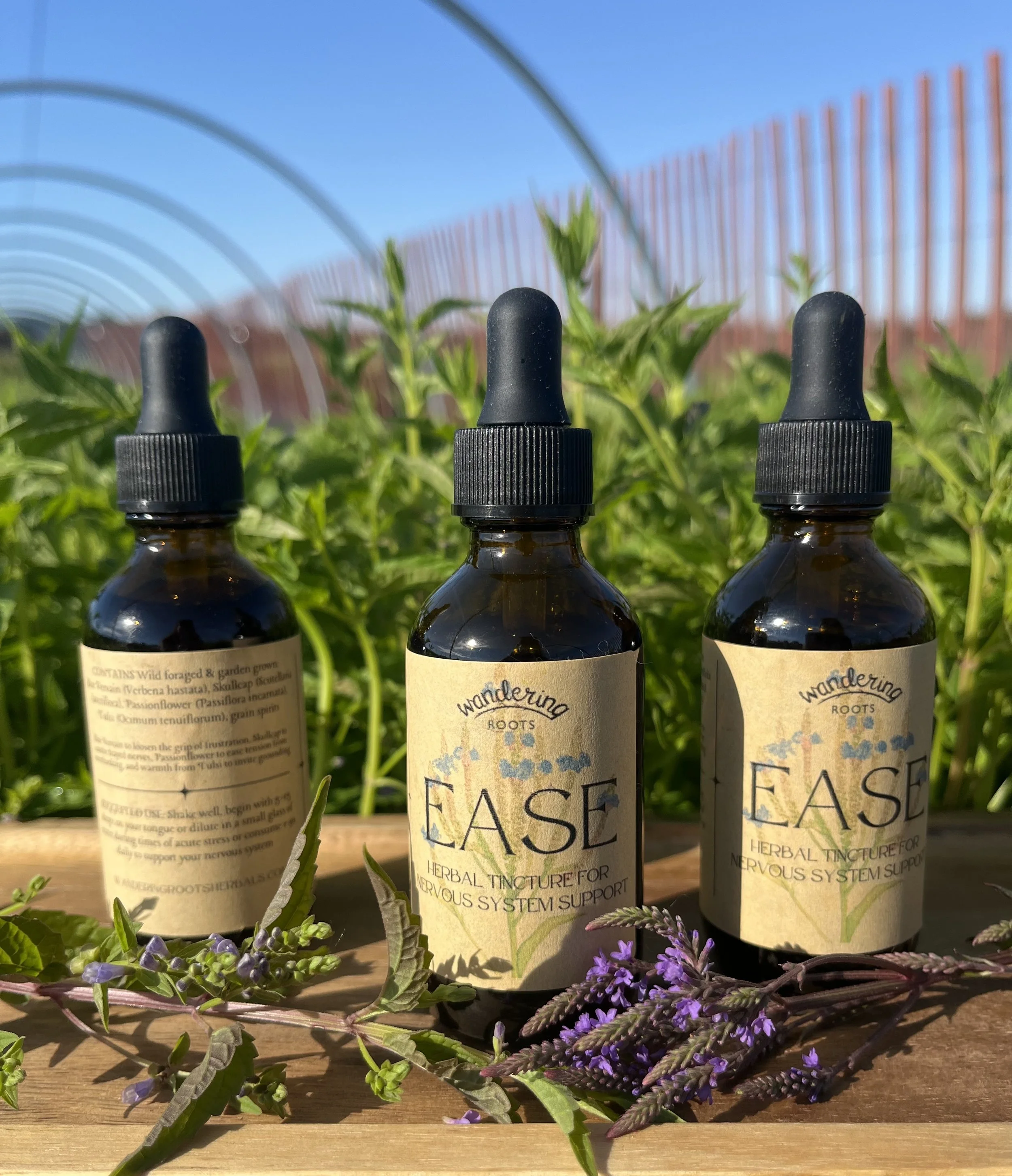 EASE - Nervous System Support