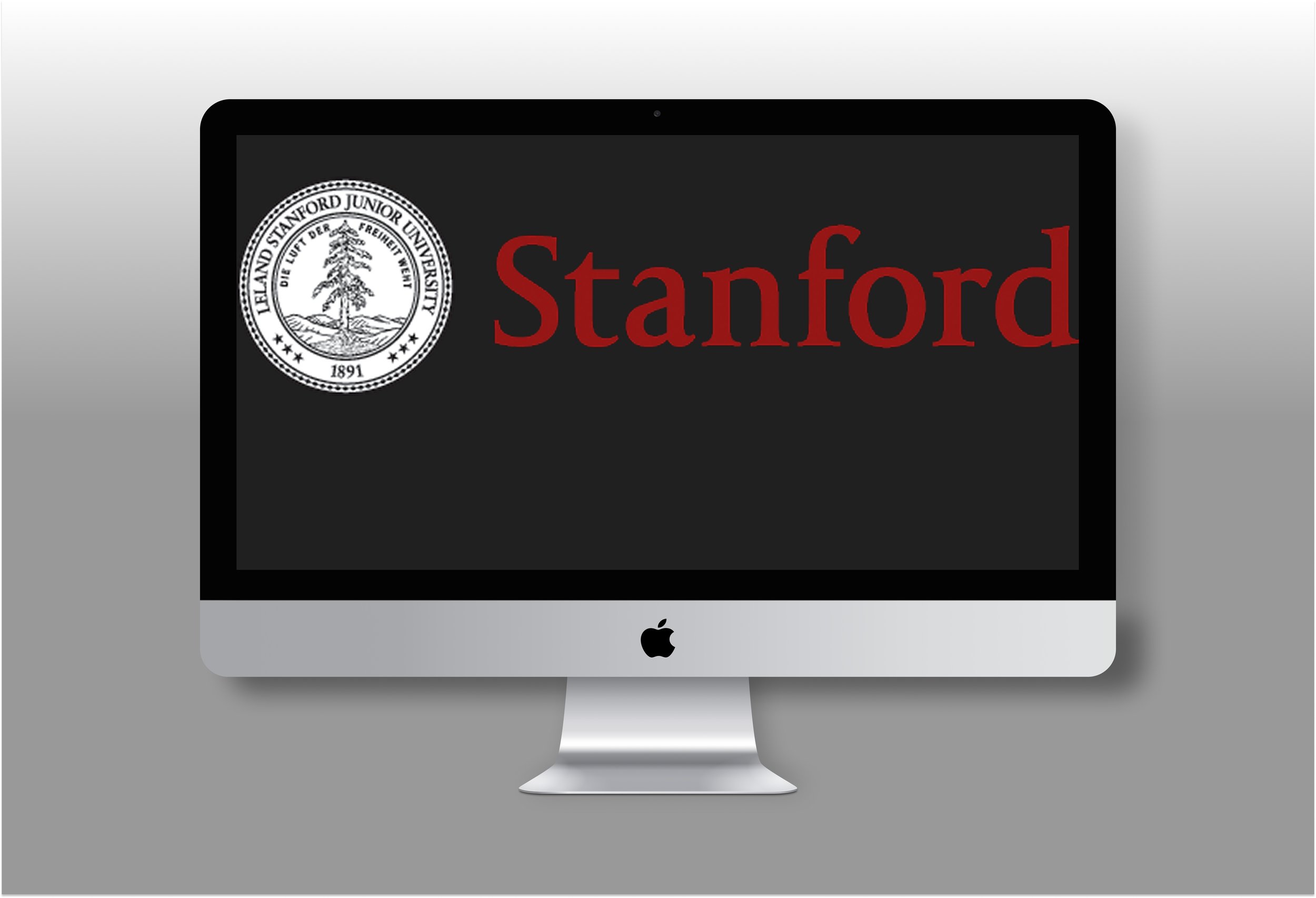 Stanford Institute Website