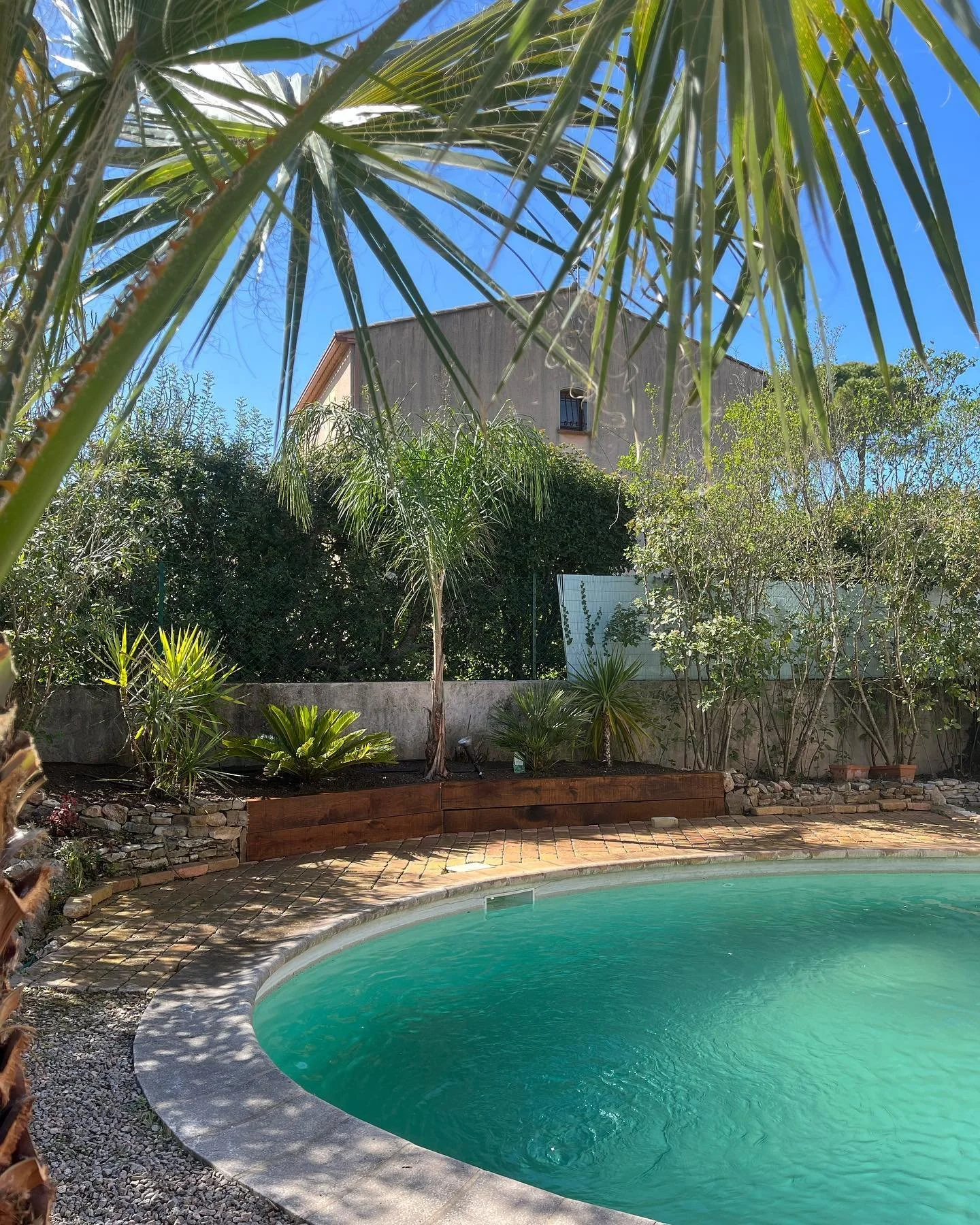 Une piscine ronde dans un jardin tropical avec des palmier et une maison en arrière-plan, sous un ciel bleu clair.
