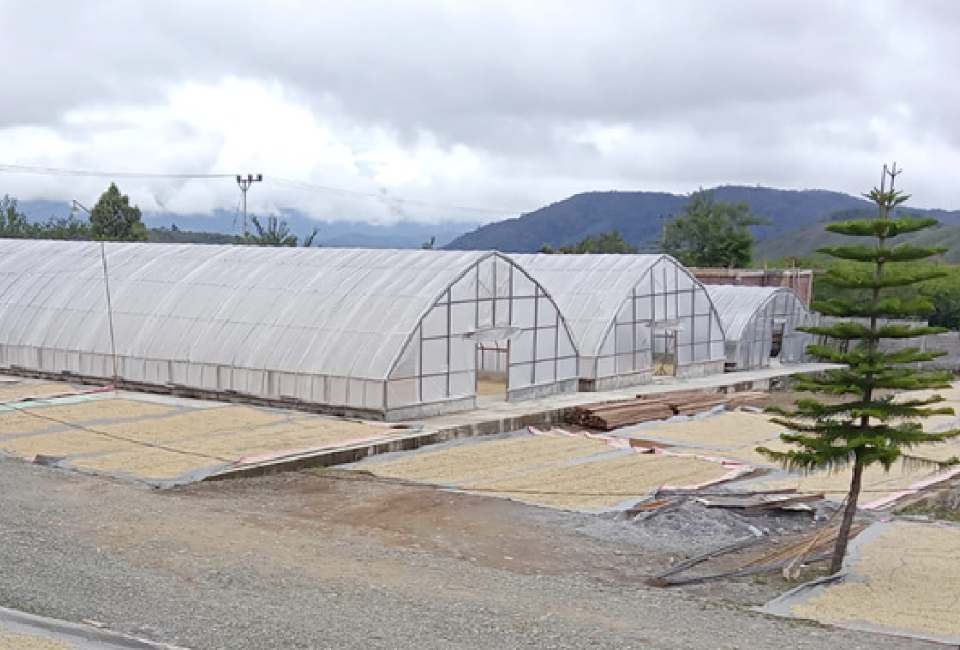 Sumatra Gayo mill & wet hull processing image