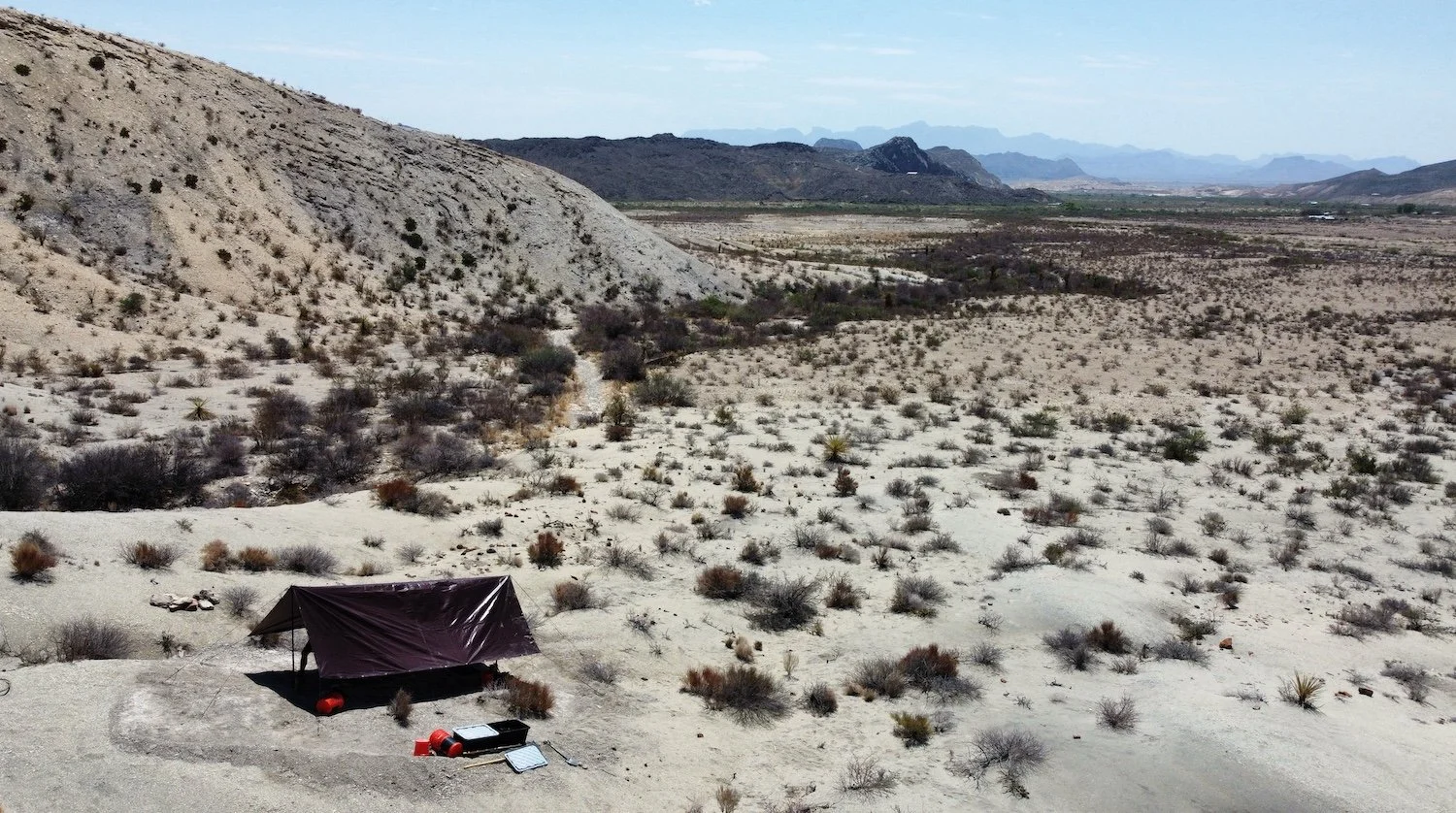 A desert landscape with sparse desert plants, distant mountains, and a small shelter made of tarp over a fossil dig site, camping supplies outside.