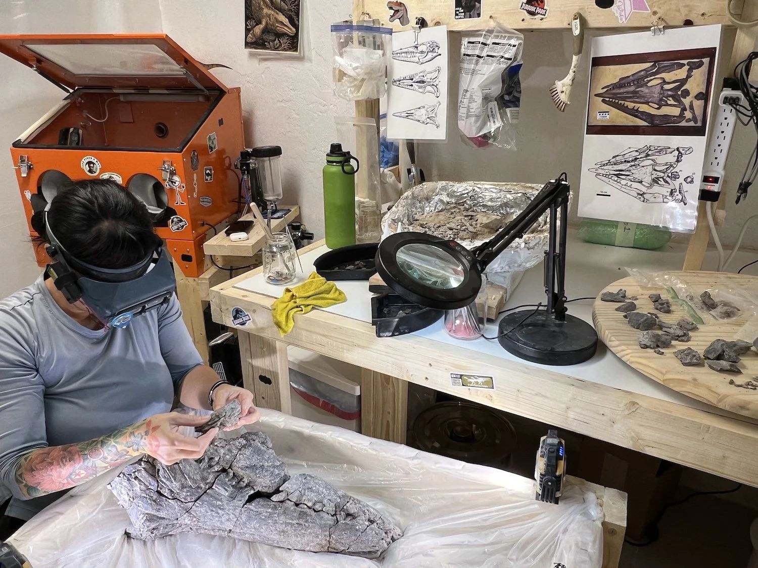 Person in a workshop wearing eye magnifier, examining a partial Tylosaurus skull. The workspace has a magnifying glass, tools, and sketches of dinosaur skulls and skeletons on the wall.