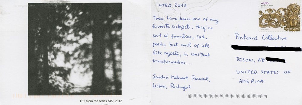 SandraMehnertPascoal1.jpg