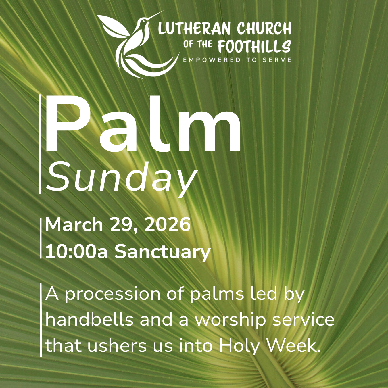 2026 Palm Sunday.png