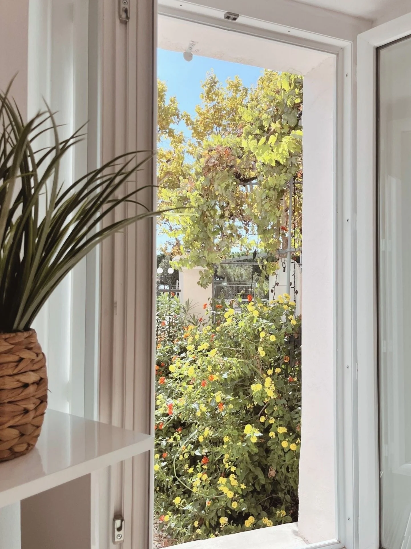 Vue sur un ciel bleu

#bureauprivatif #executiveoffice