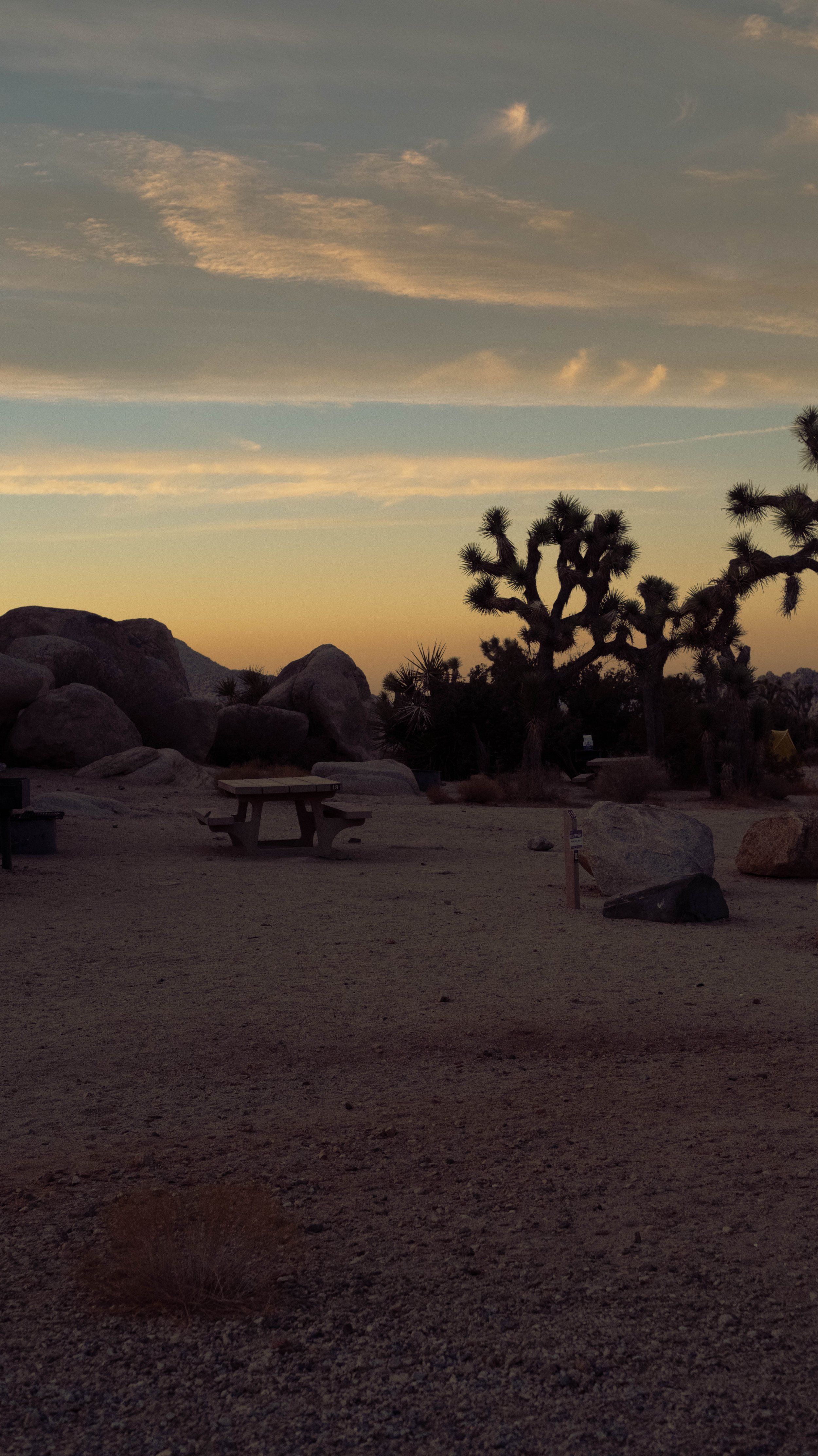 Joshua Tree National Park, CA