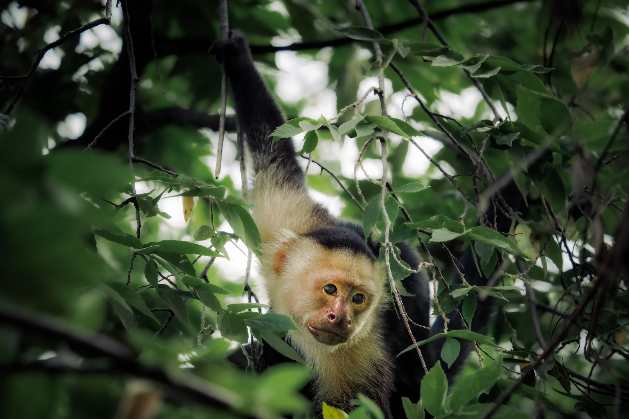 Jáco, Costa Rica