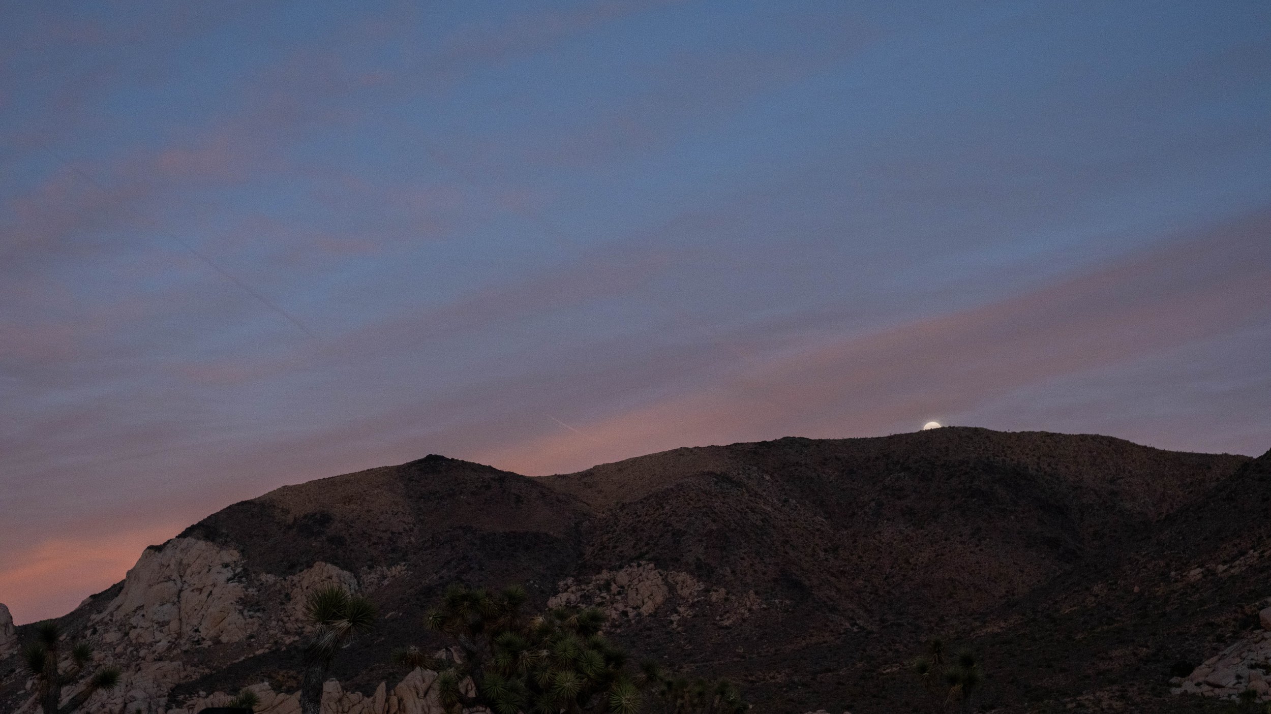 Joshua Tree National Park, CA