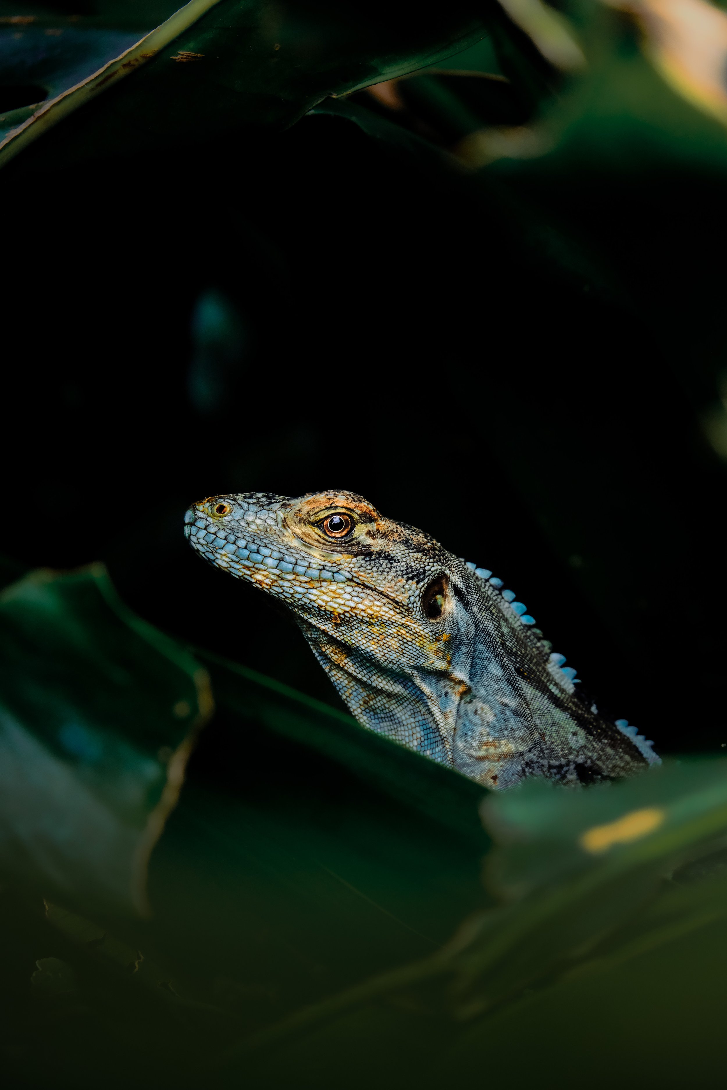 Jáco, Costa Rica