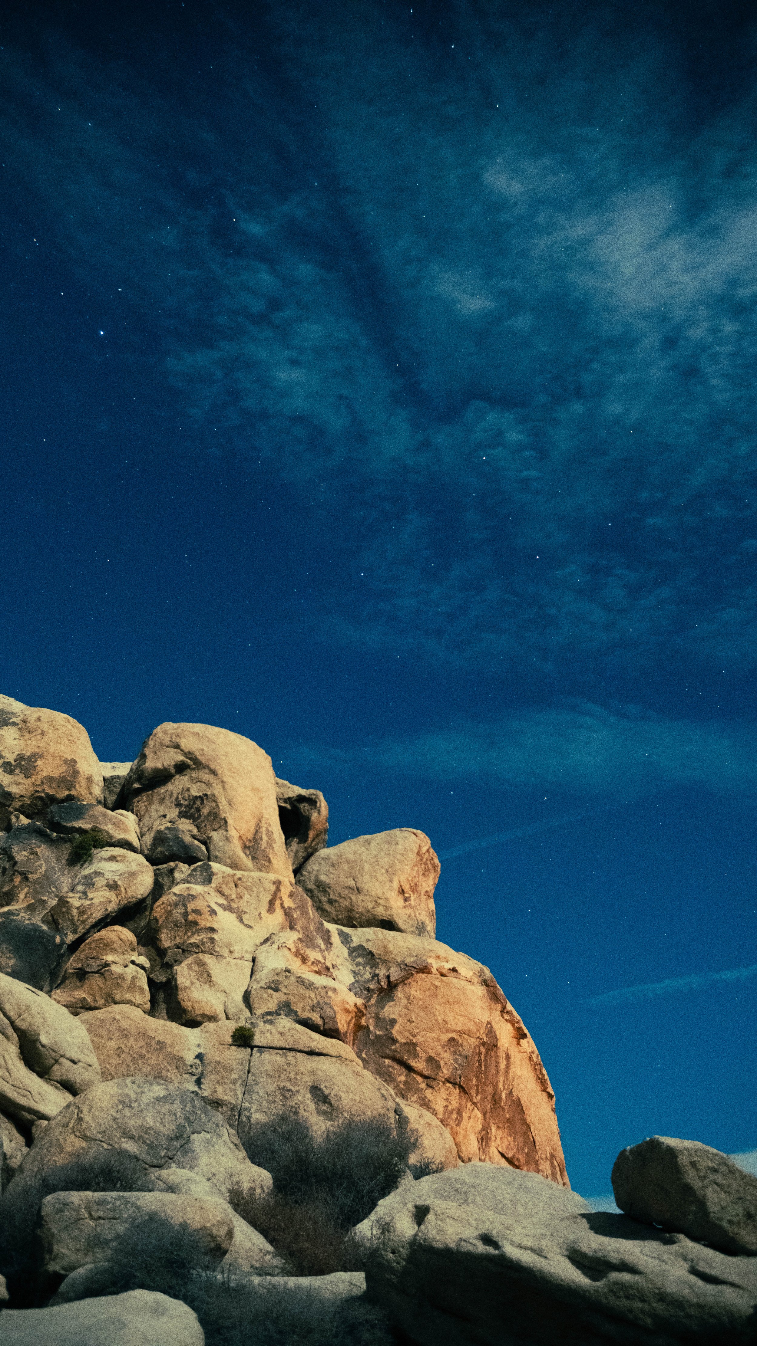 Joshua Tree National Park, CA