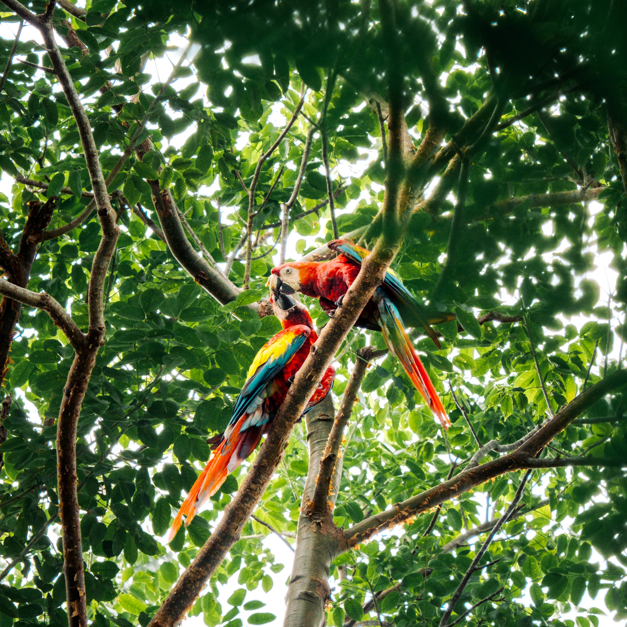 Jáco, Costa Rica