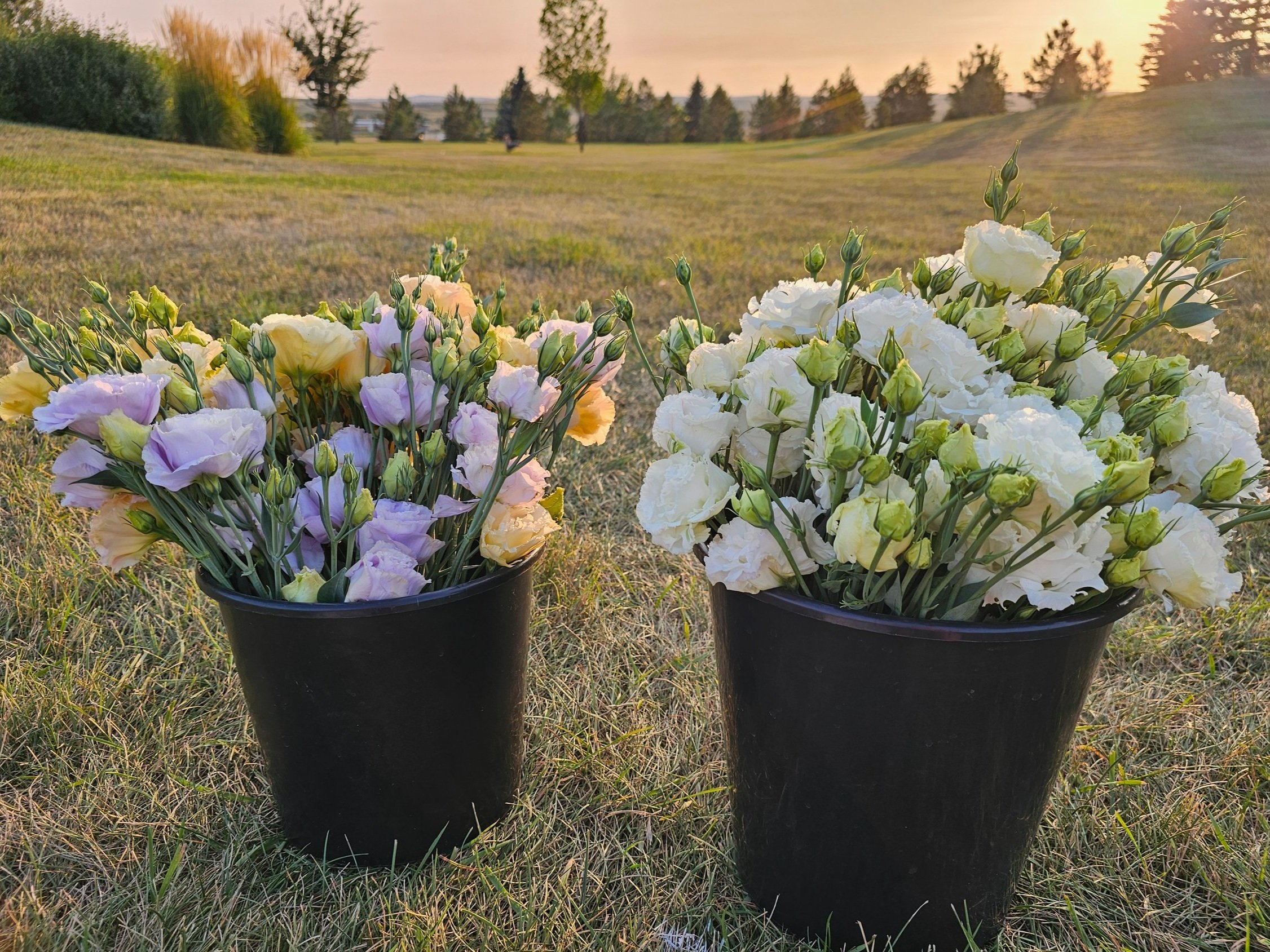 DIY Floral Bucket
