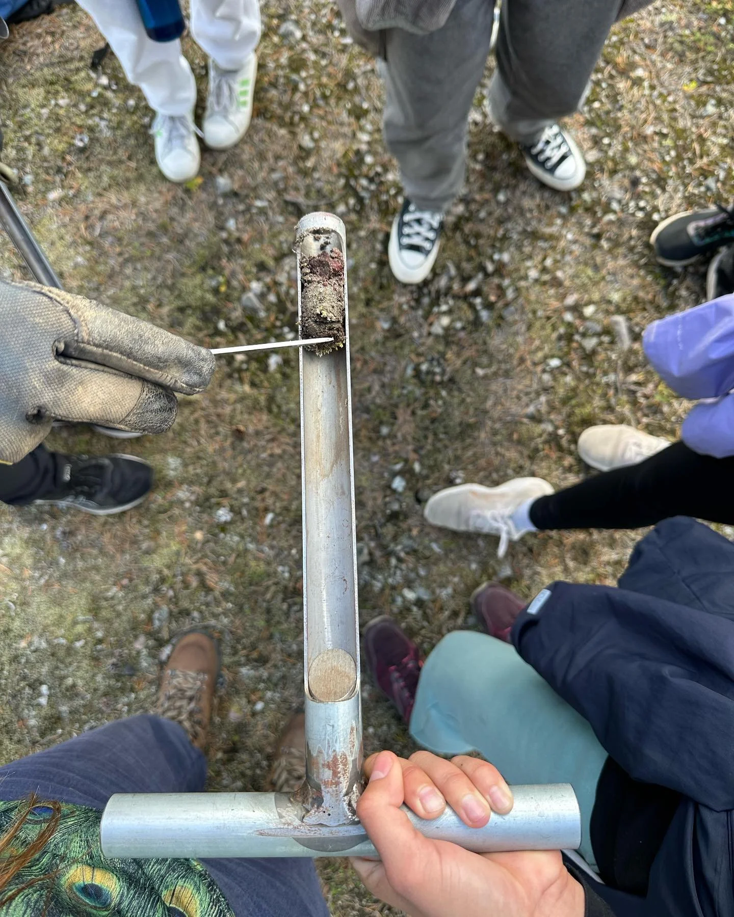 Today was a special day. We collected with the students soil microbial samples from the abandoned mining area of ​​Raaj&auml;rvi. Only the reindeers were waiting us in that closed mine. The unrestored mining area offers a unique place to observe how 