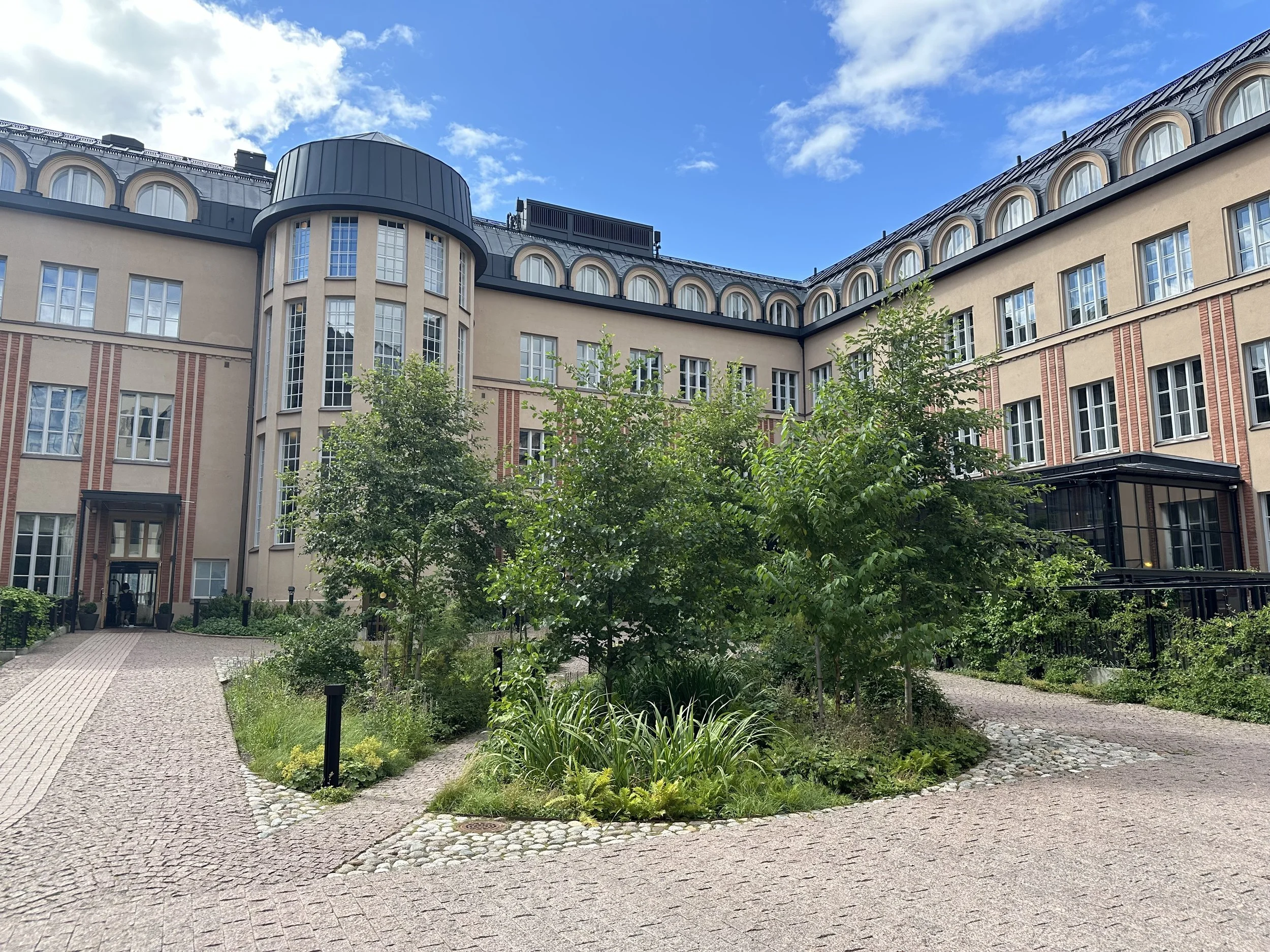Nomaji maisema-arkkitehtitoimiston suunittelema mikrometsä. Centro hotel, Helsinki, Suomi, 2024. 