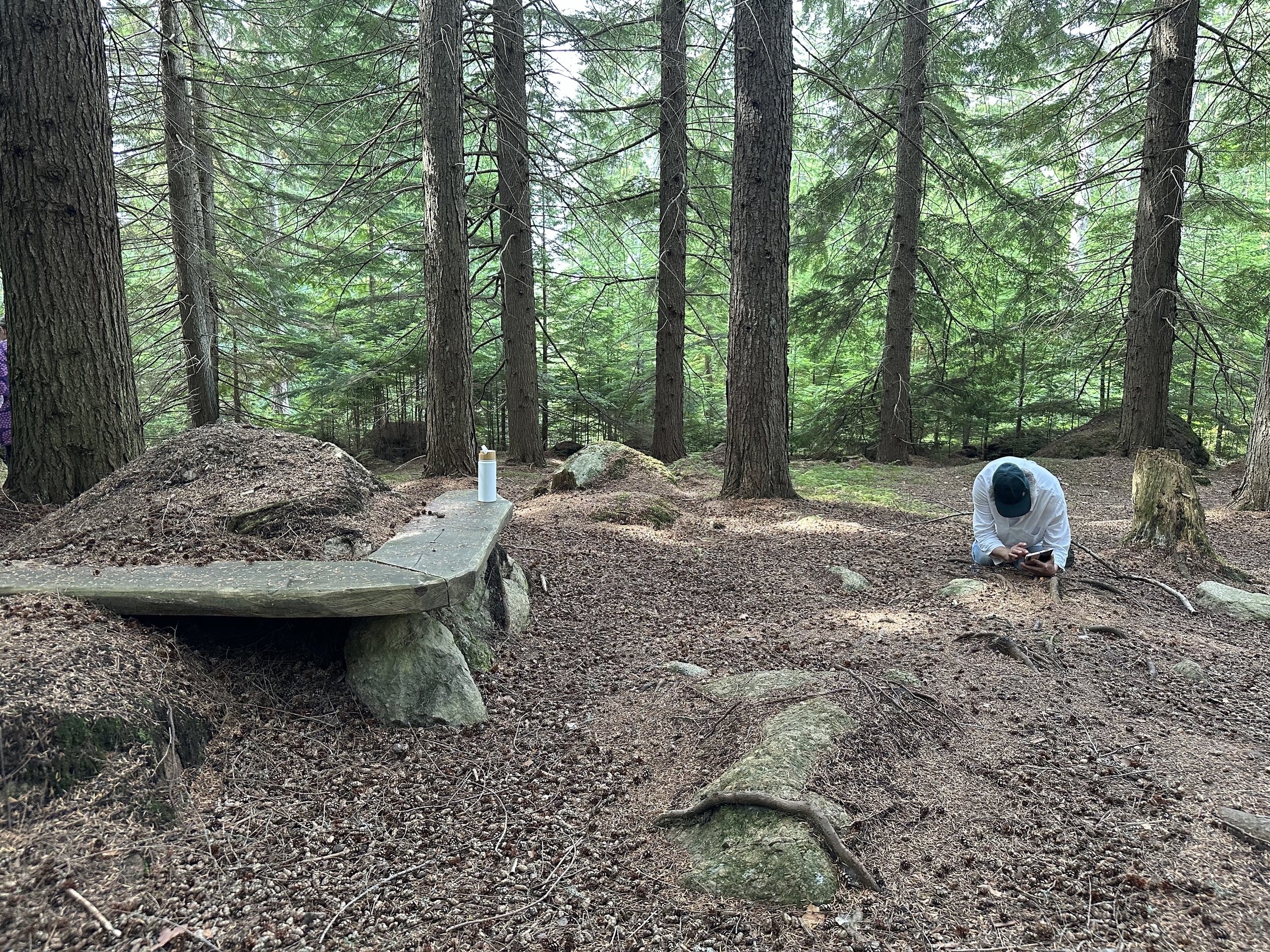 Arboretum, Mustila, Kouvola, Suomi, 2024.