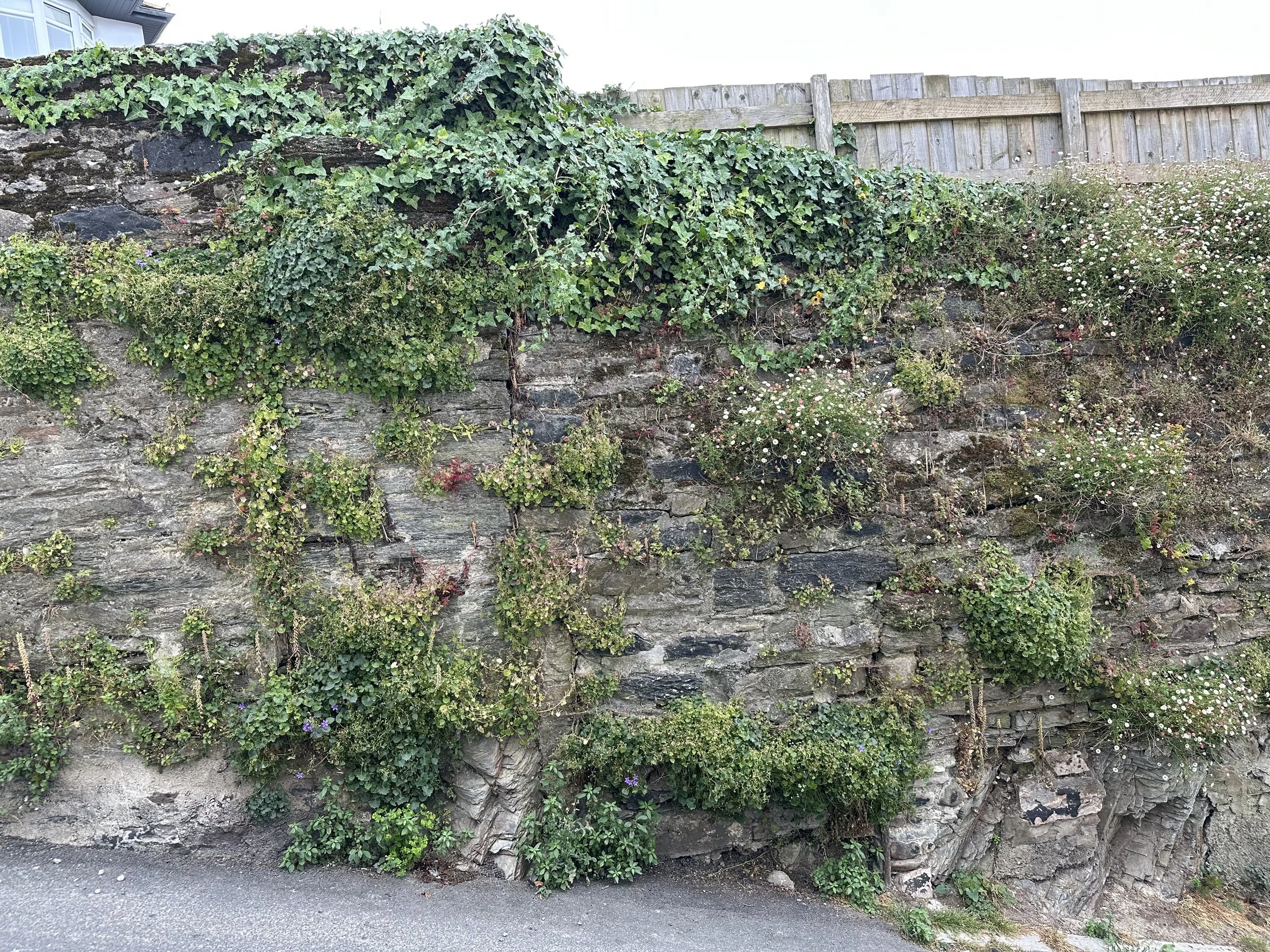 Dartmouthin kaupungin kiviaitoja. Etelä-Devon, UK, 2025.