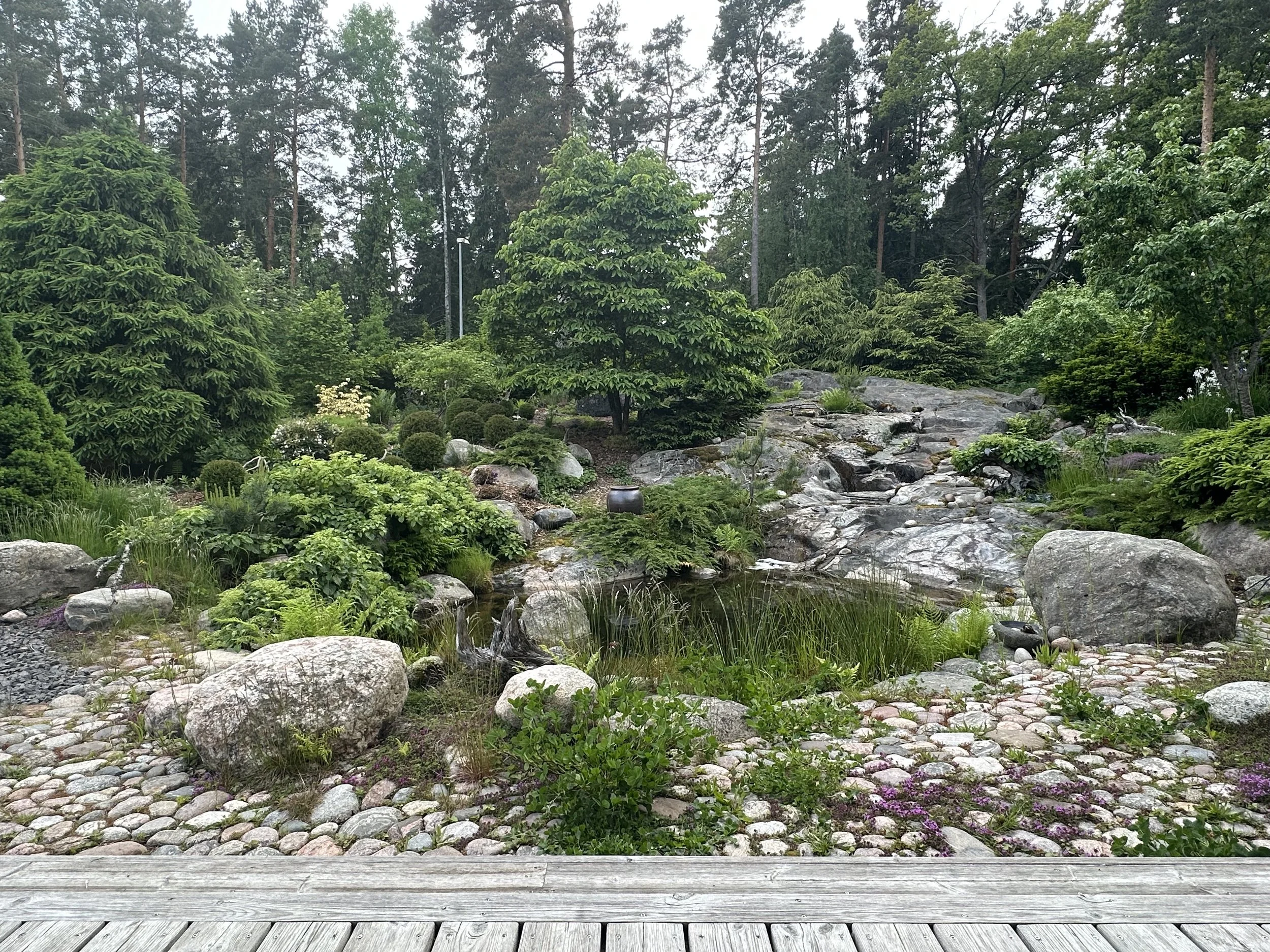 Japanilaishenkinen kotipuutarha, Raisio, Turku, Suomi, 2025.