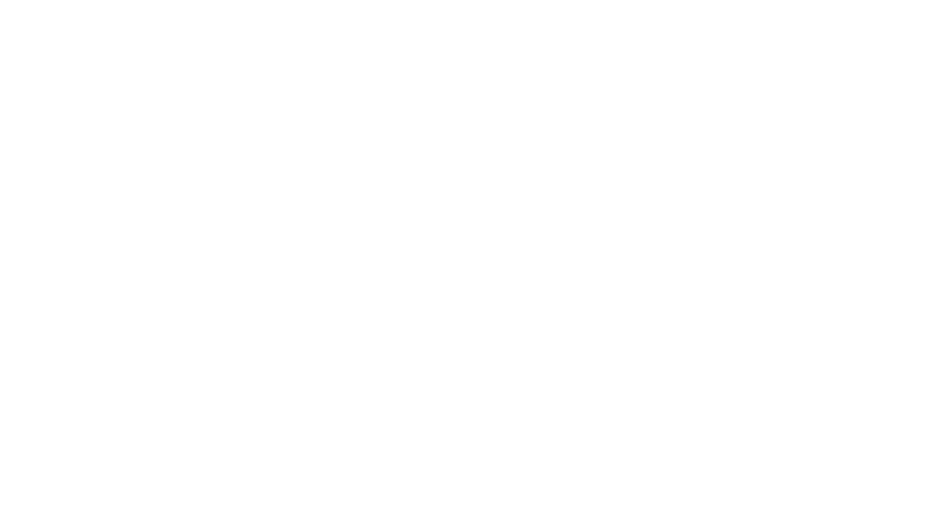 Geometric for leadership development for Leadership Circle Profile 360 Assessments service