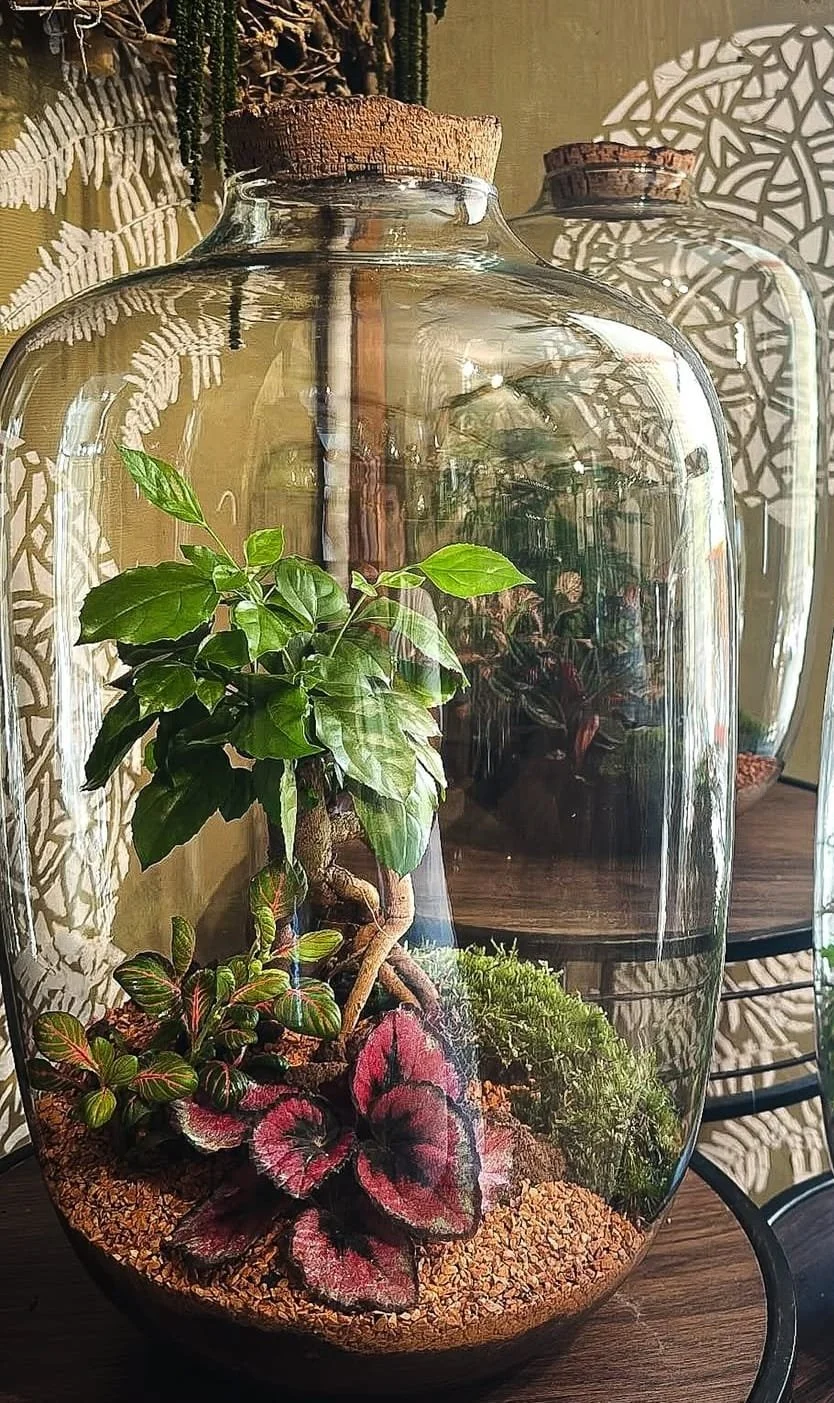 WhatsApp Image 2025-10-03 at 22.02.50.jpeg