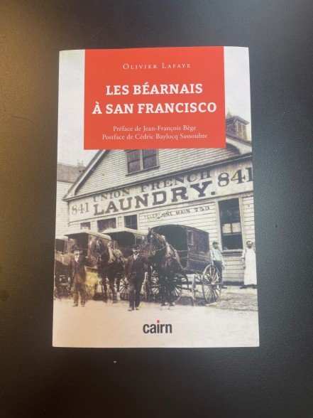 bearnais.jpeg