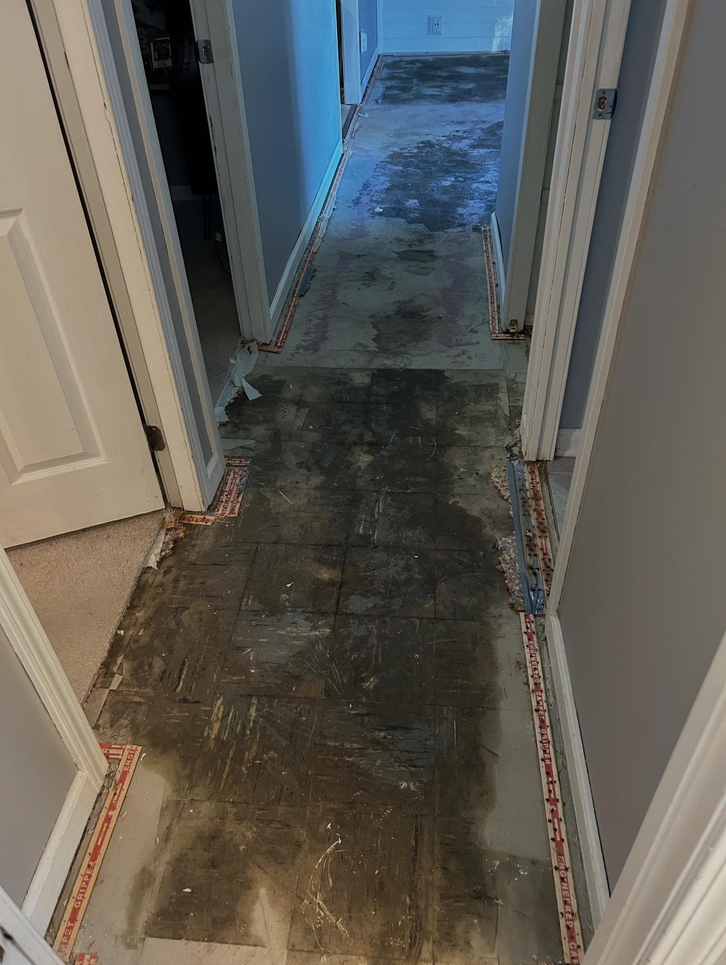 New floors on an October Monday turned into asbestos and 5 weeks out of our house. 🙃 at the start of November we&rsquo;re home just in time to hole up for the winter. ❄️ 🐻 

Ready for a slow down