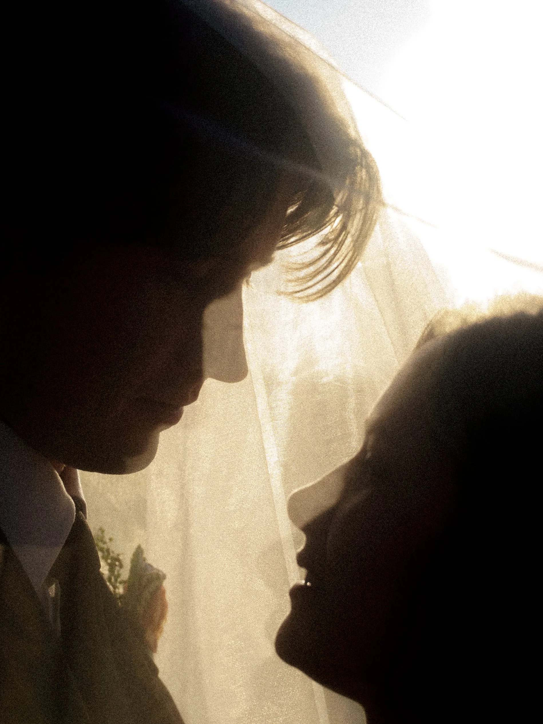 Silhouette of a woman and a young girl facing each other closely, with soft light shining on the scene.